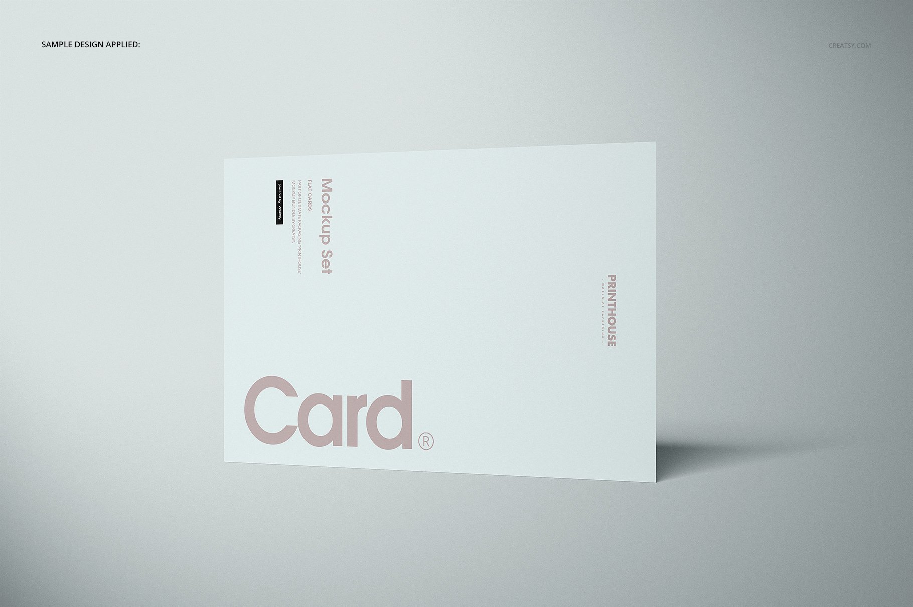 时尚宣传单页海报卡片设计展示贴图样机合集 Flat Cards Mockup Set_img_2