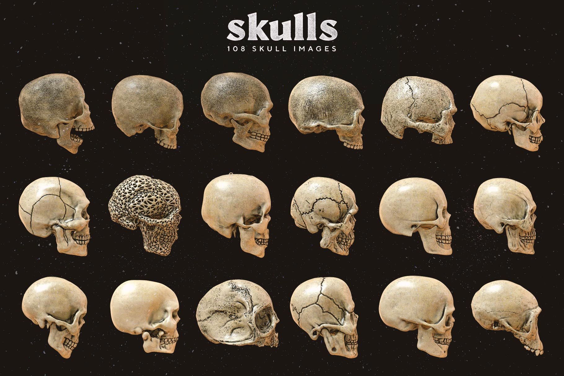 108张潮流炫酷3D渲染金属质感骷髅头骨PNG免抠图片素材 Skulls - 108 3D Skull Images_img_2