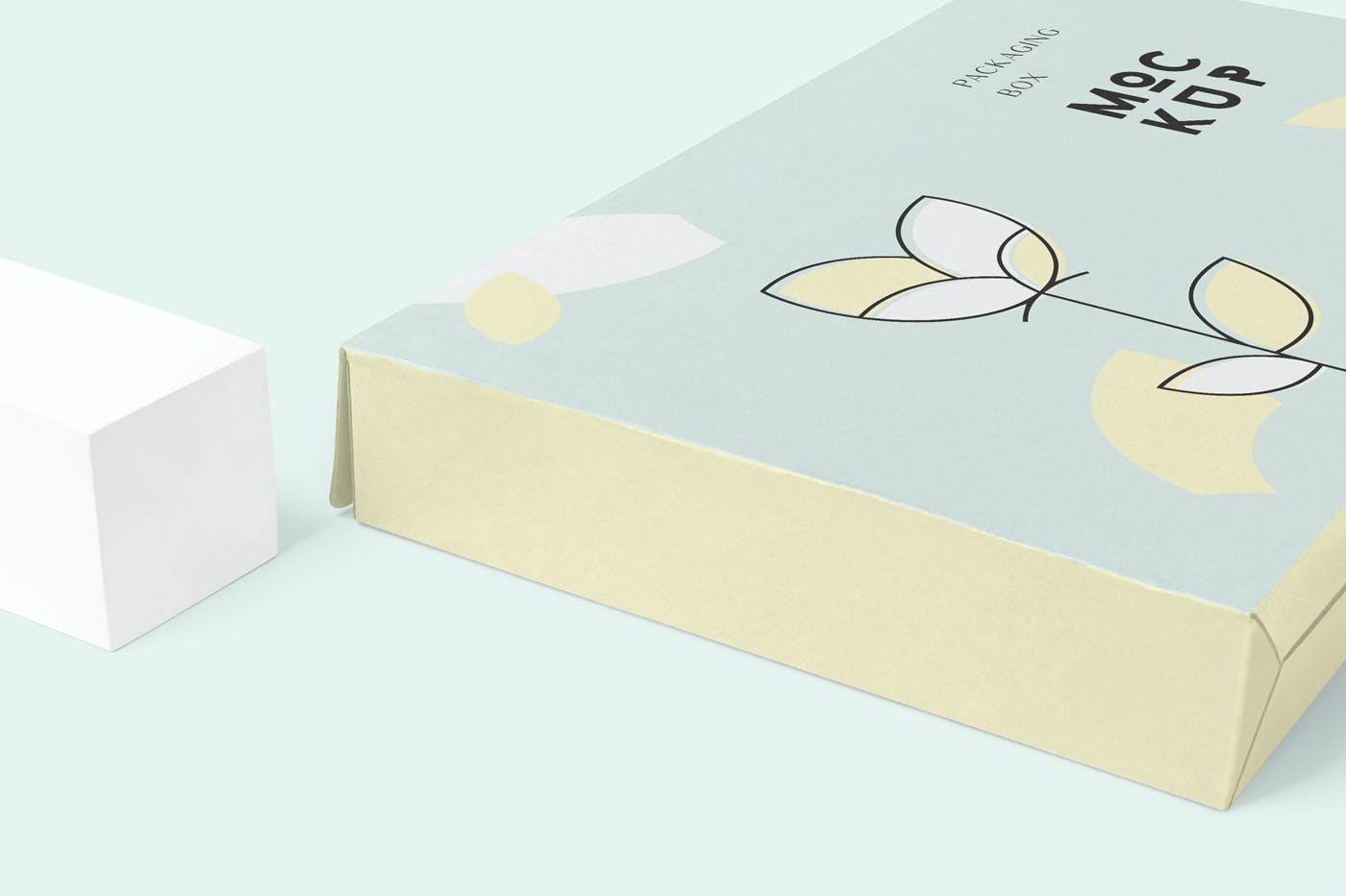 6款矩形产品包装盒设计展示贴图样机模板 6 Rectangular Packaging Box Mockups_img_2