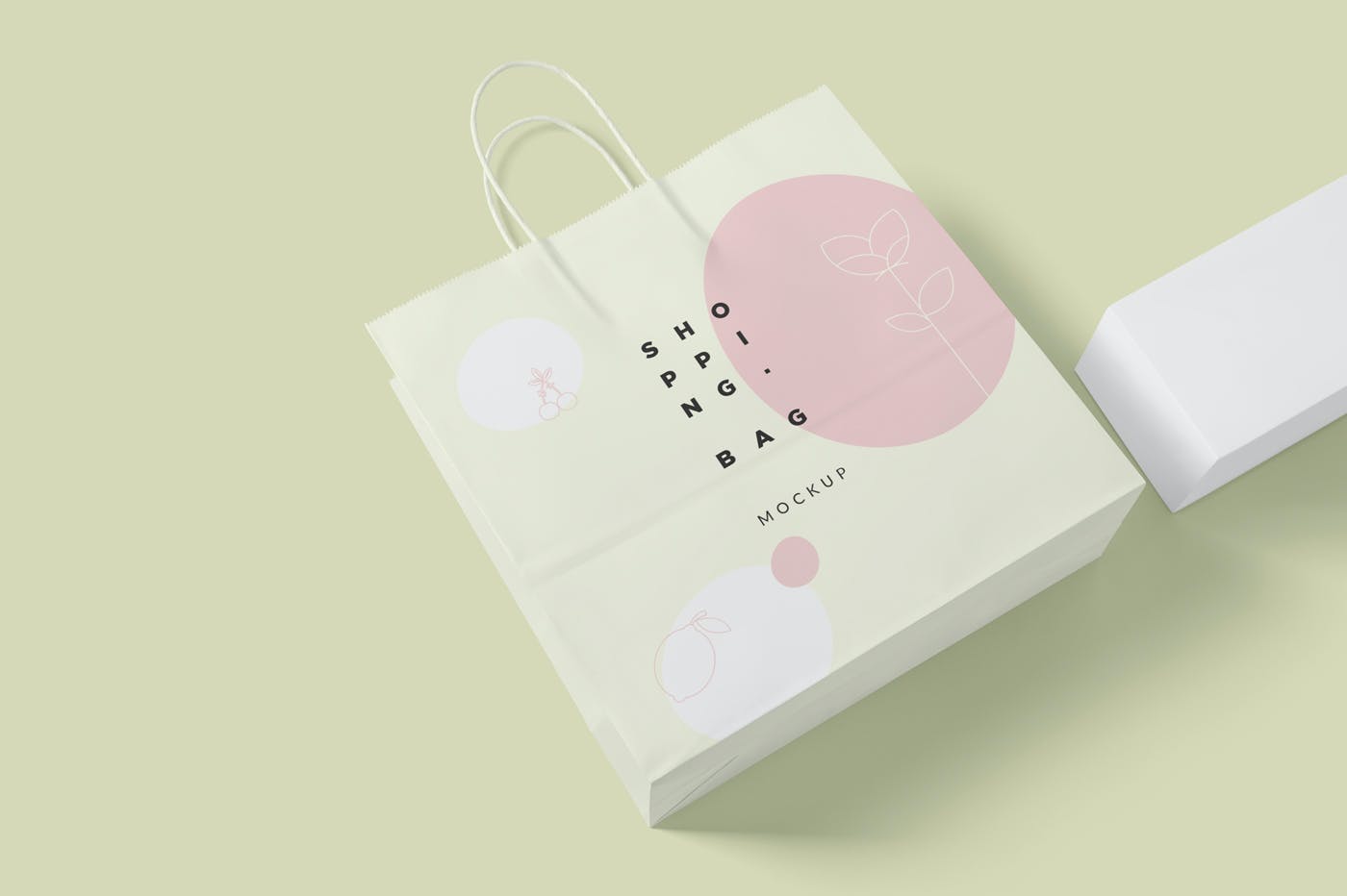 6款纸张商场购物手提袋设计展示样机 6 Paper Shopping Bag Mockups_img_2