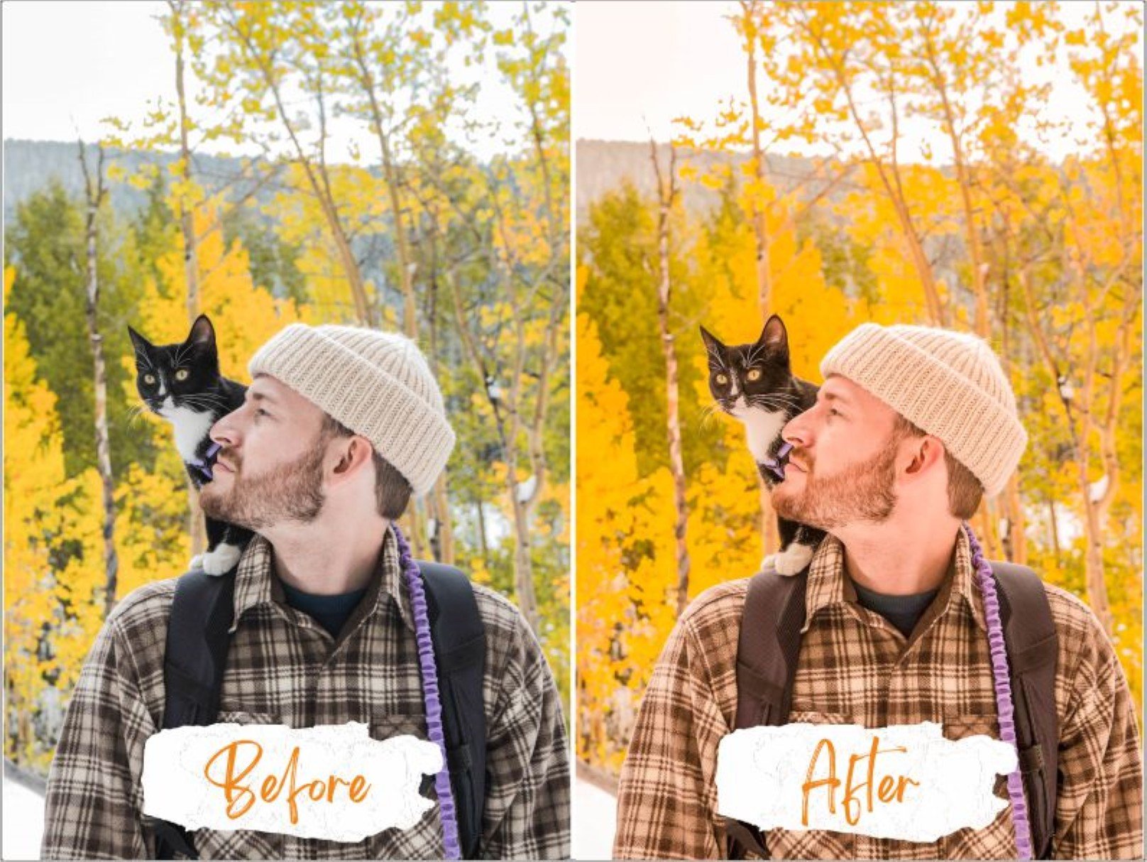 甜橙色调照片后期调色滤镜LR预设模板 Sweet Orange Lightroom Presets_img_2