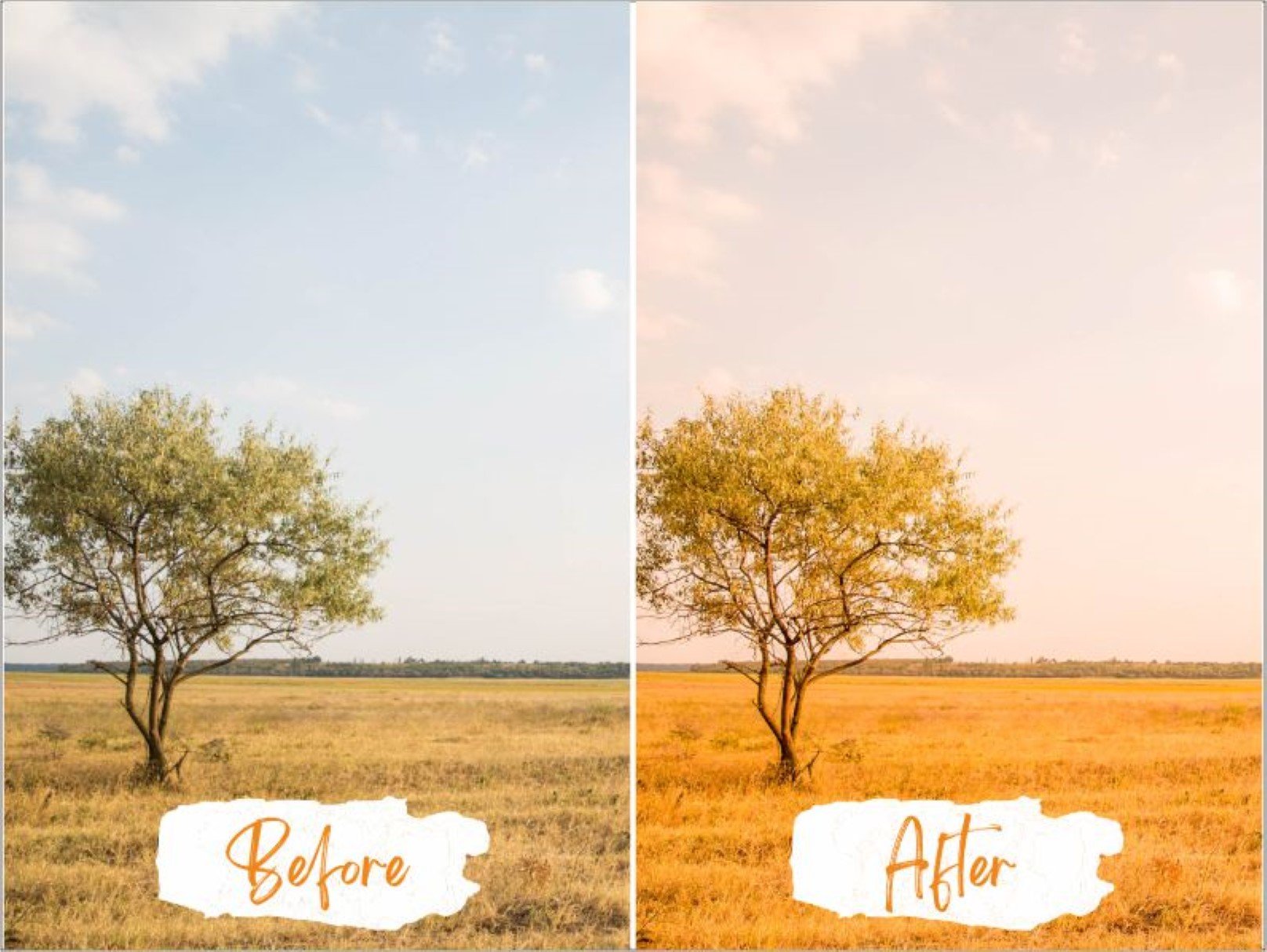 甜橙色调照片后期调色滤镜LR预设模板 Sweet Orange Lightroom Presets_img_2