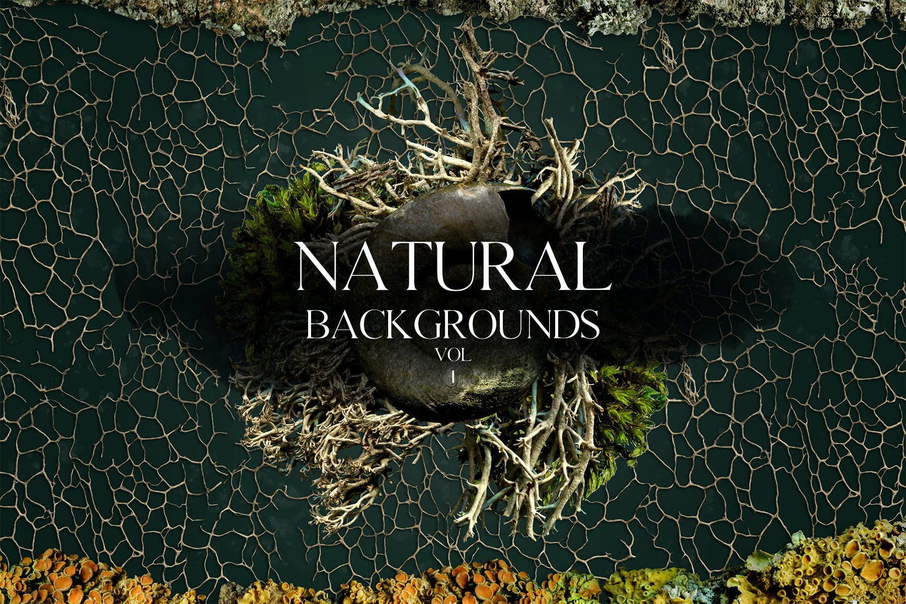 高清有机海绵纤维切片网格纹理背景底纹图片素材 Natural Backgrounds Vol.1_img_2