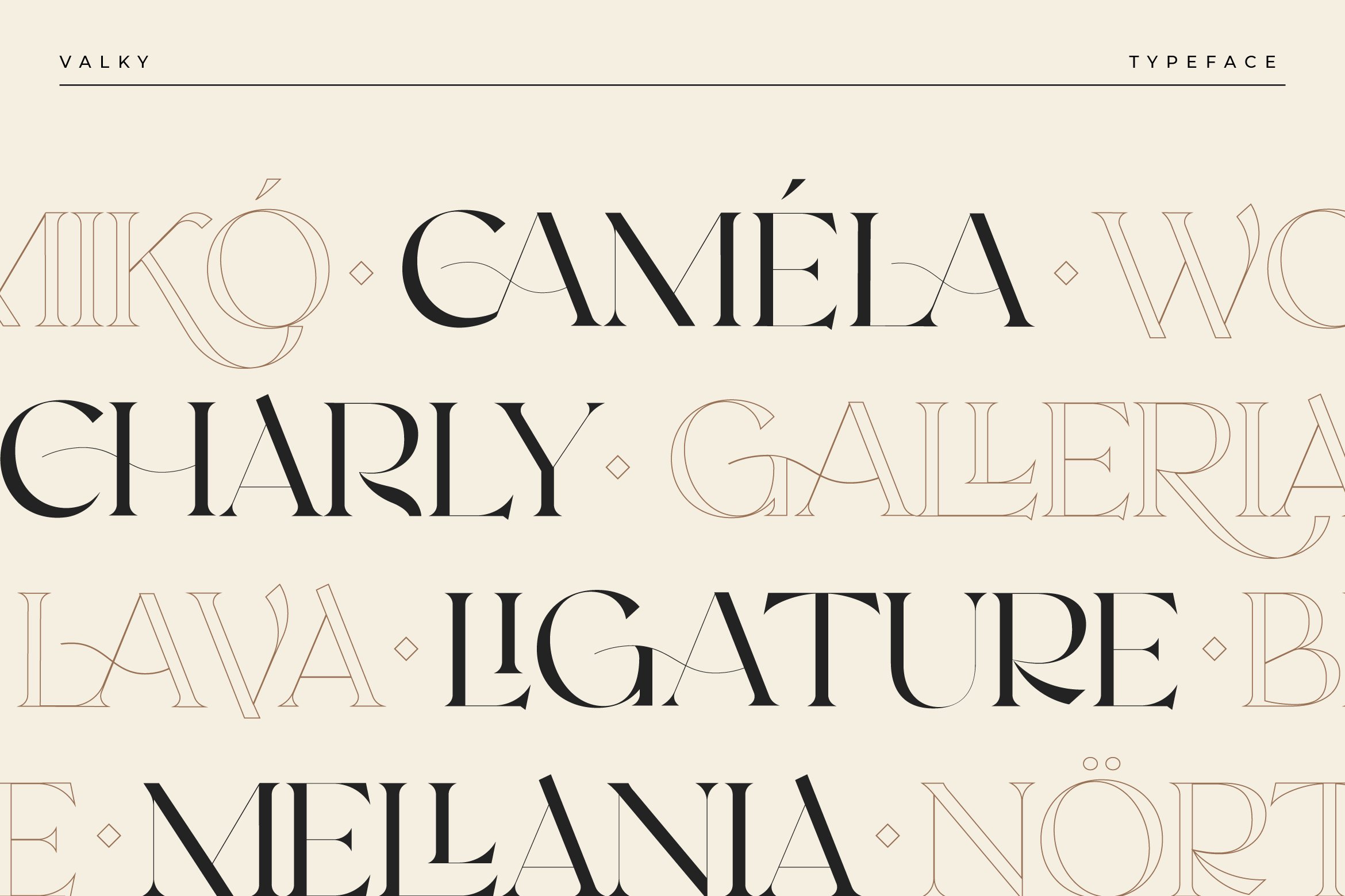现代经典海报杂志文字设计衬线英文字体素材 Valky Classic Modern Typeface_img_2