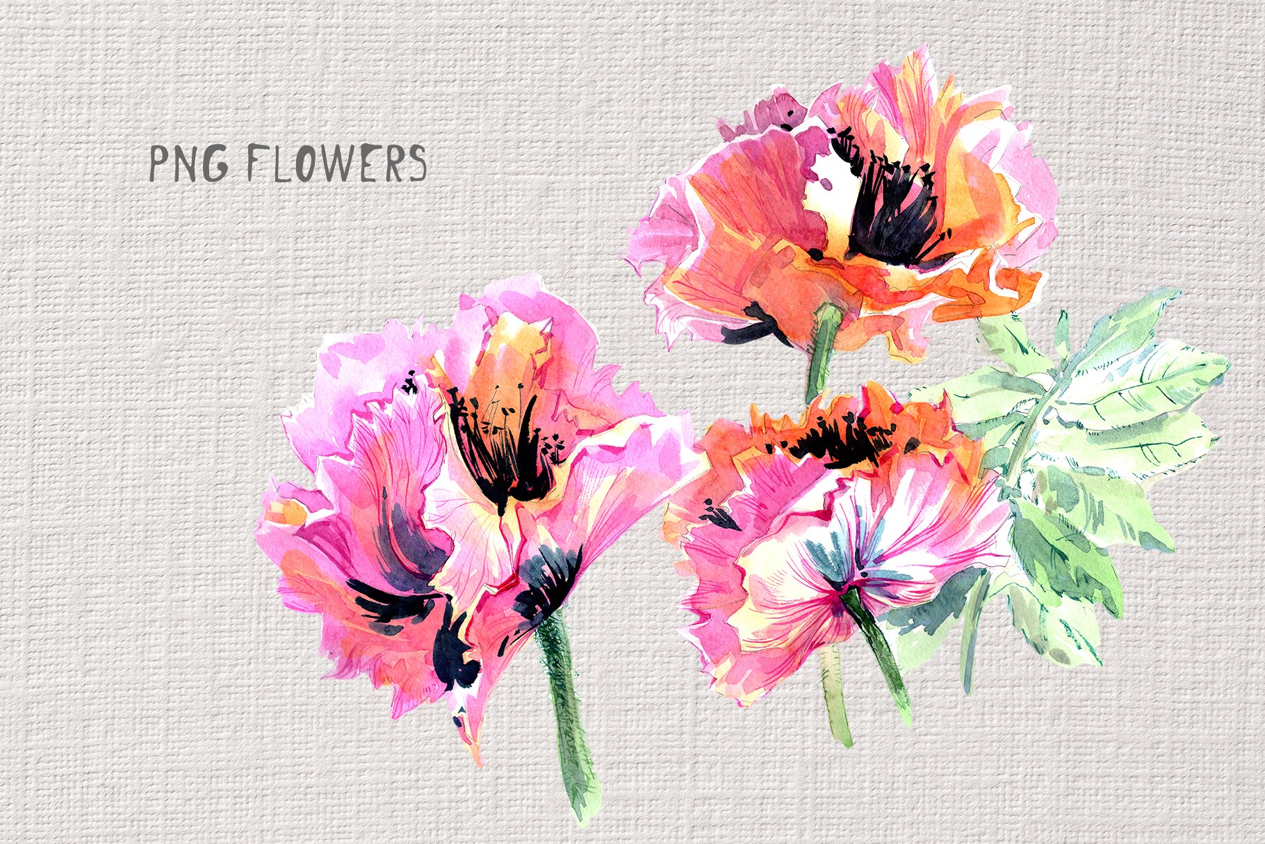 17个高清罂粟花PNG水彩画图片设计素材 Gentle Poppies PNG Watercolor Set_img_2