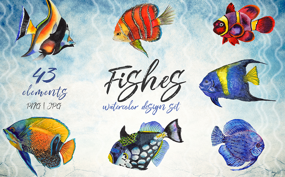 43款多彩热带鱼水彩画PNG图片设计素材套装 Sea Fishes PNG Watercolor Set_img_2