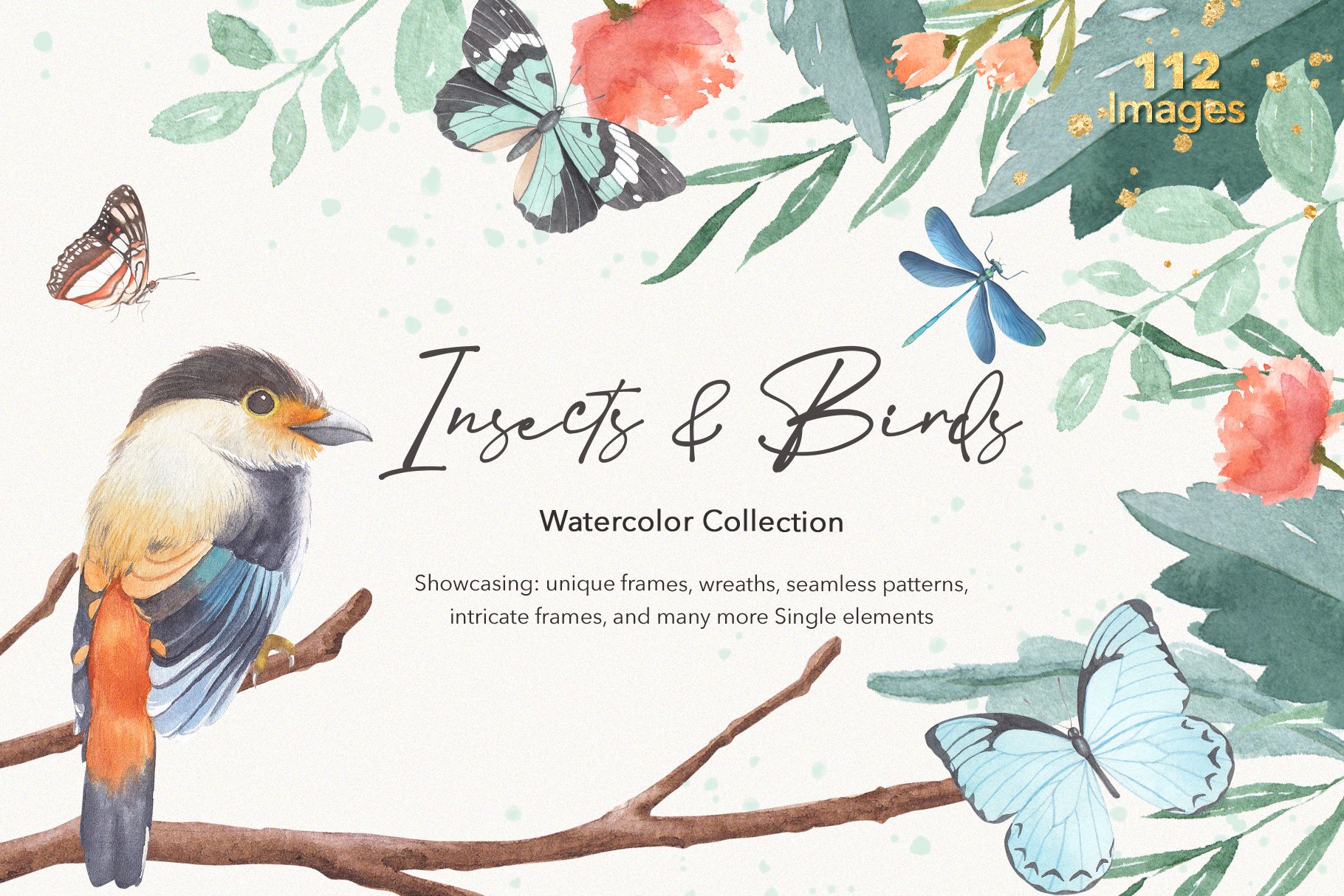 79个高清昆虫鸟类水彩画PNG免抠图片素材 Insects & Birds Watercolor Collections_img_2