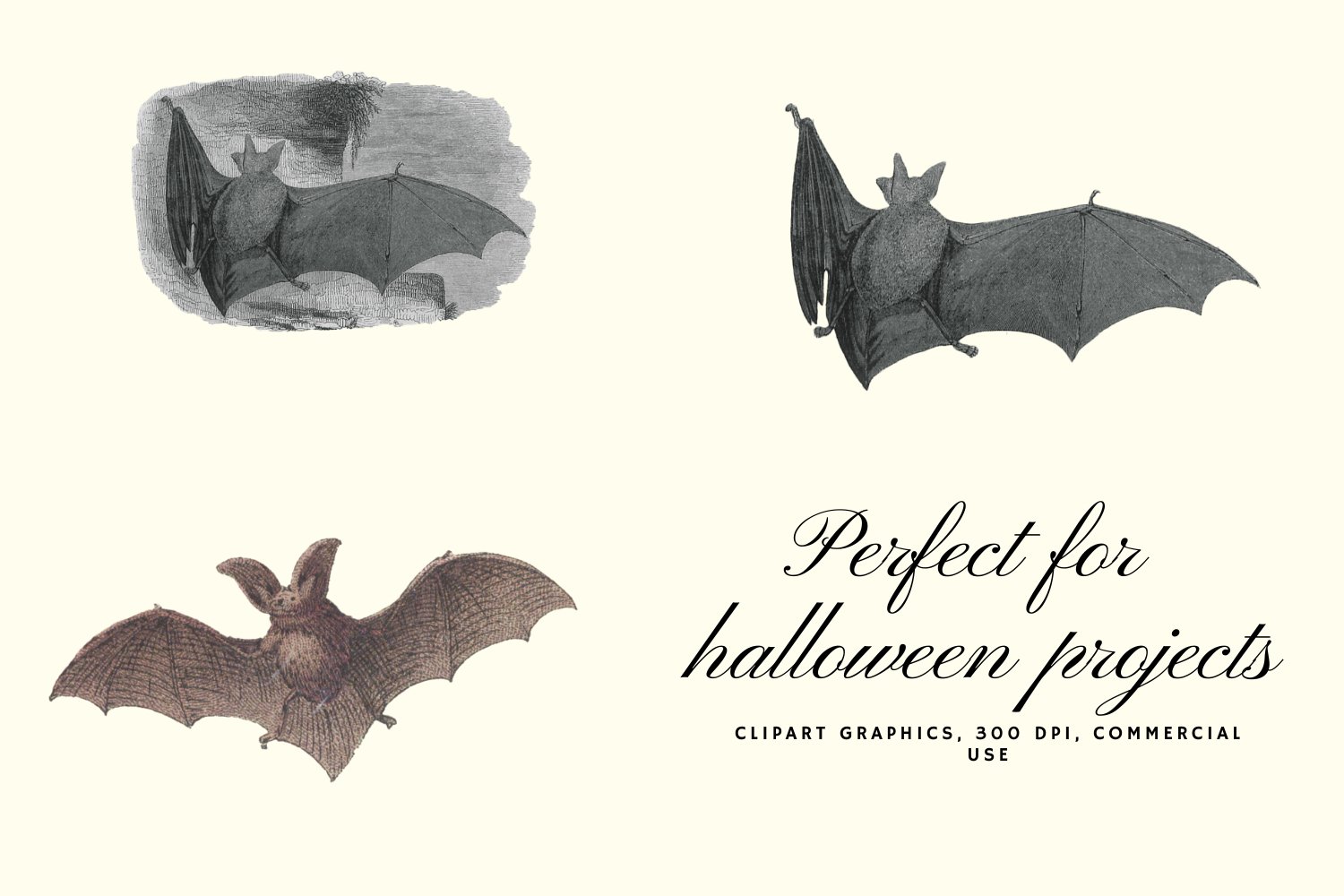 10个高清蝙蝠背景PNG免抠图片素材 Vintage Bats Collection, Creepy Graphics_img_2