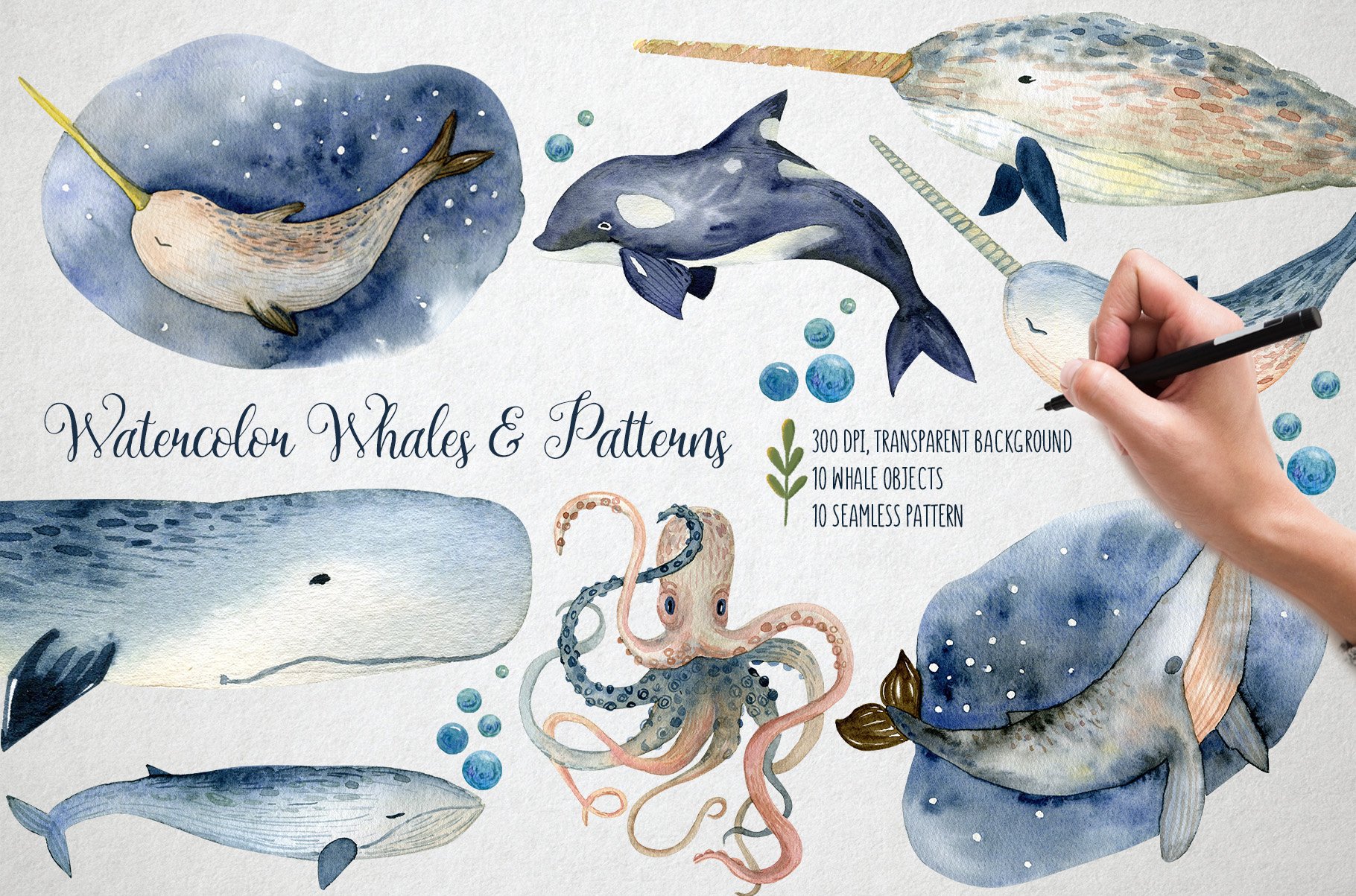 海洋动物植物水彩剪贴画插图图片素材 Watercolor Whales & Patterns_img_2