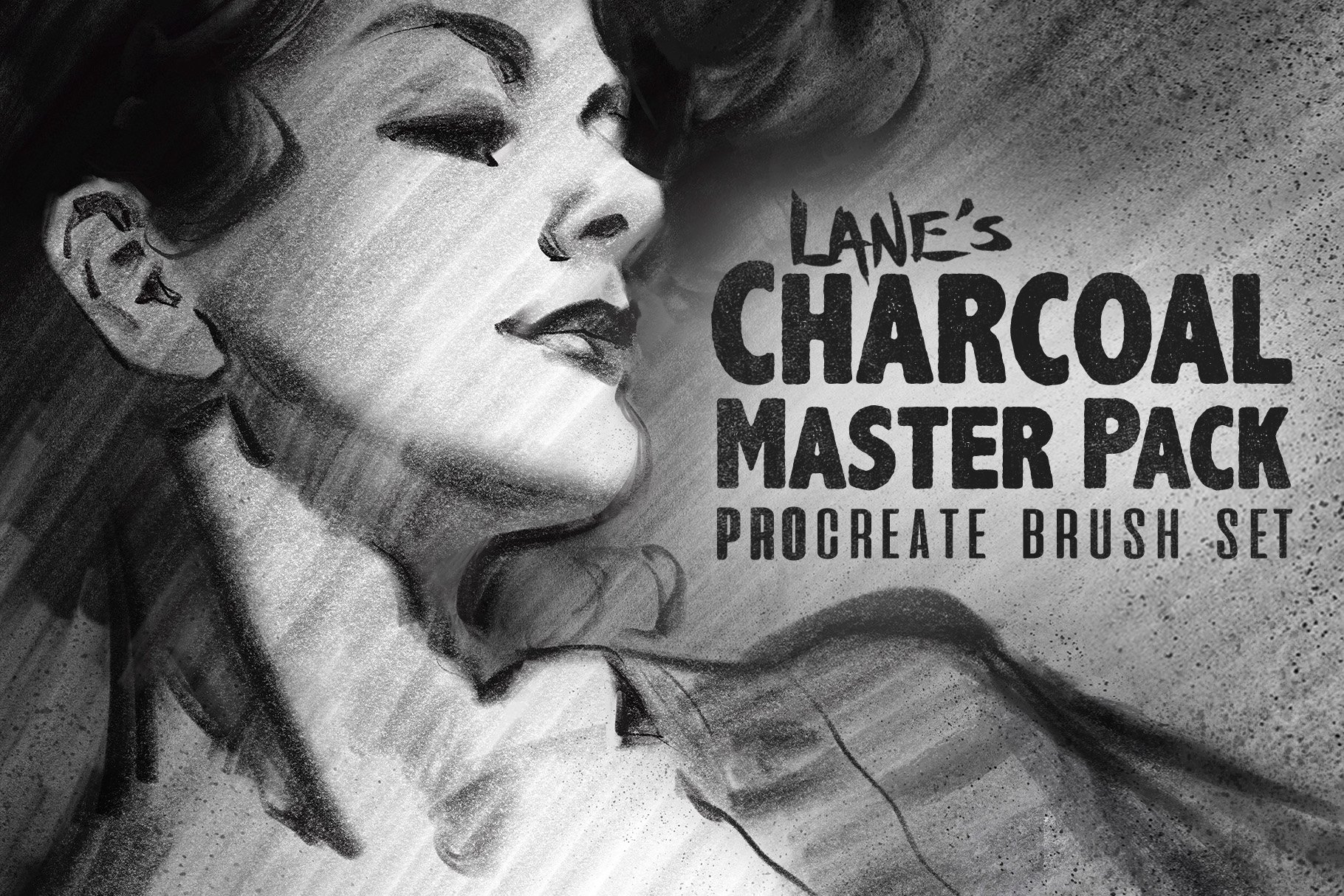 38种黑粉笔木炭铅笔绘画画笔Procreate笔刷 The Charcoal Master Pack_img_2