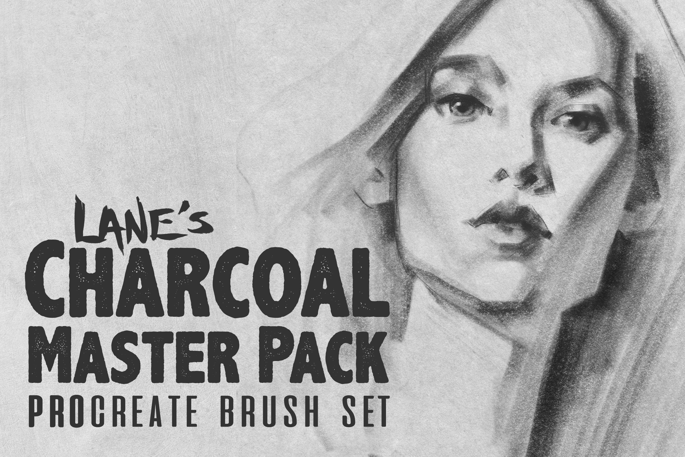 38种黑粉笔木炭铅笔绘画画笔Procreate笔刷 The Charcoal Master Pack_img_2