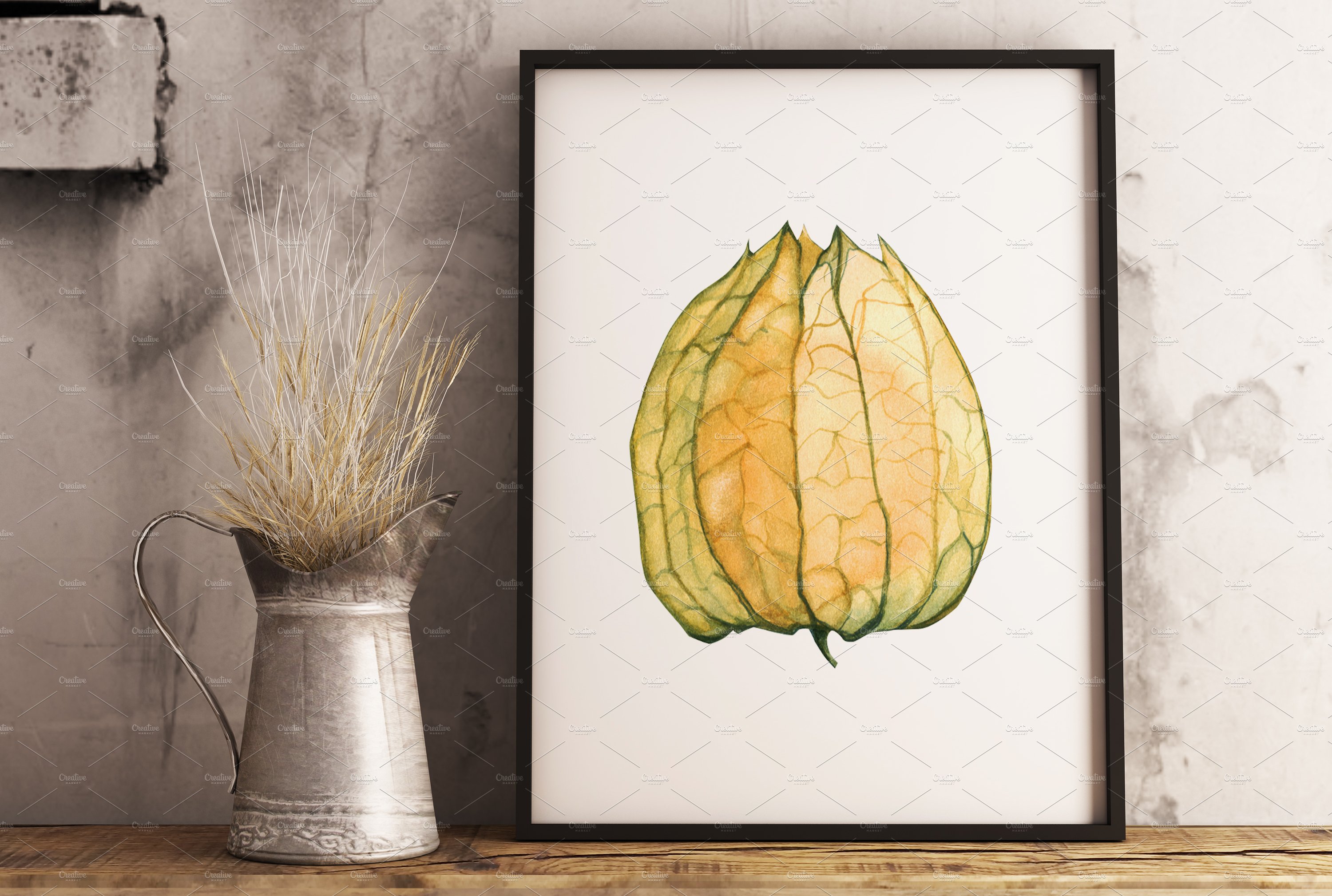 现代水彩水果装饰图案插图PNG透明图片素材 Physalis Botanical Watercolor_img_2