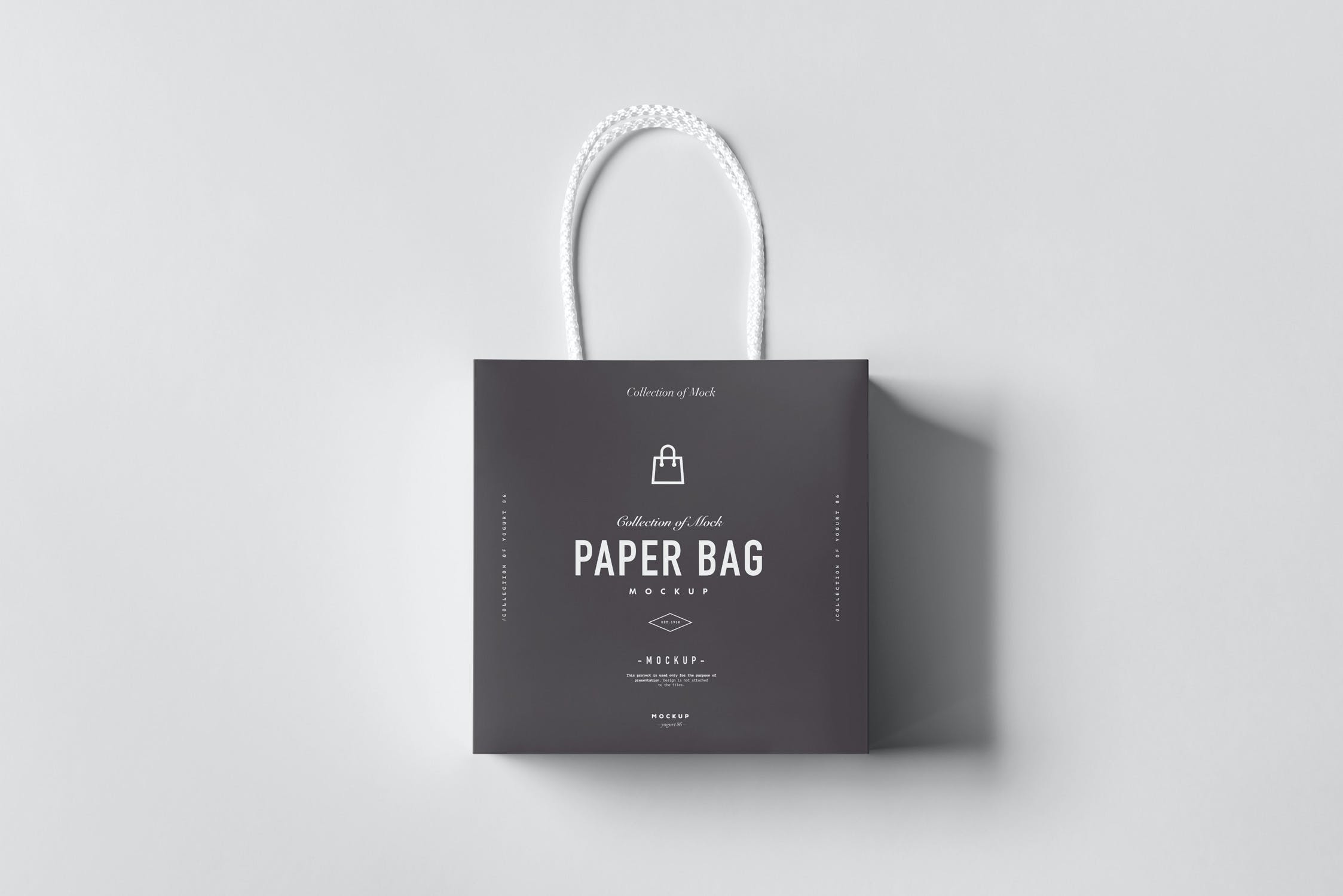 11款购物手提纸袋设计展示样机模板 Paper Bag Mockup 2_img_2