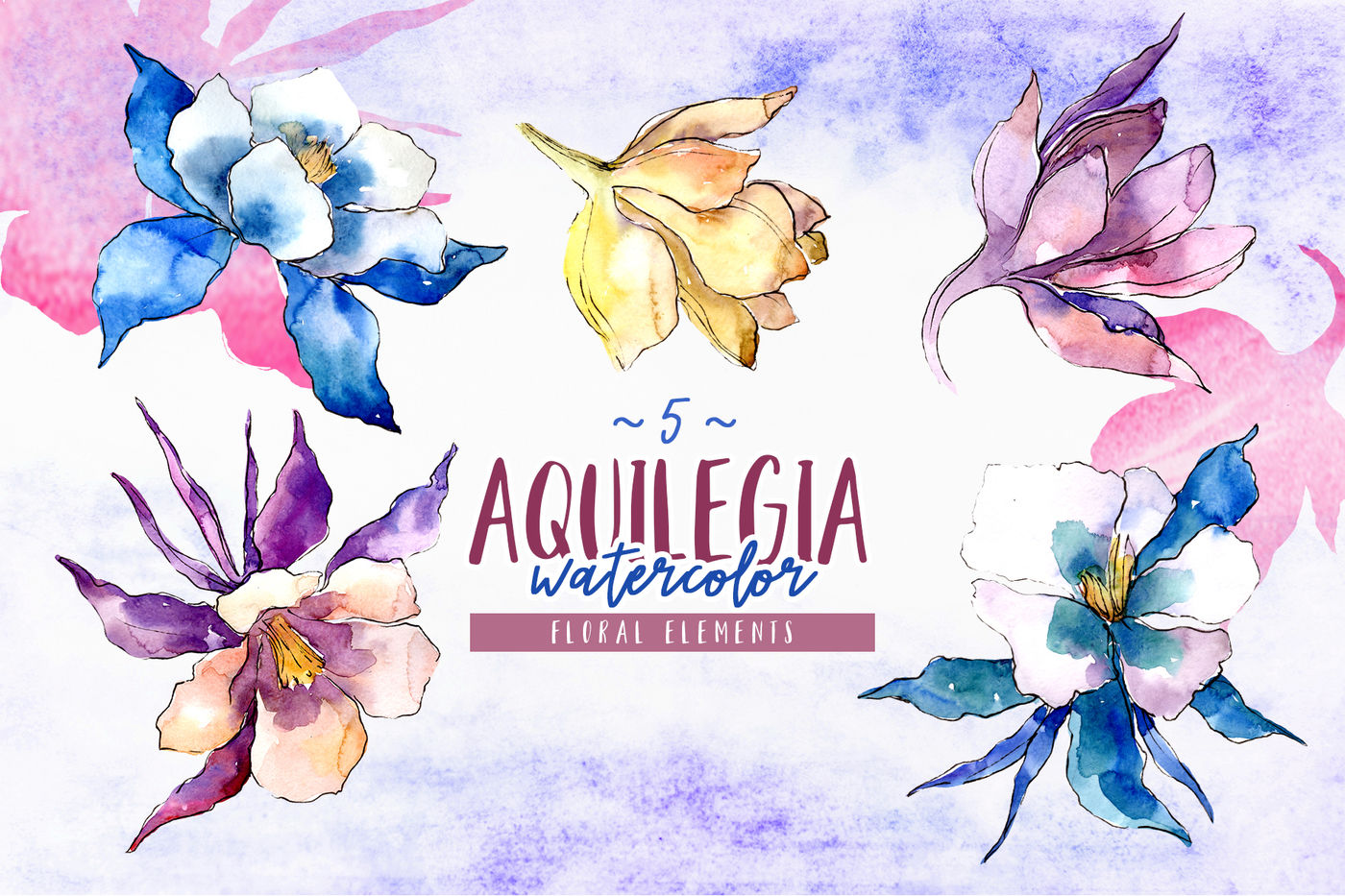 美丽多彩野花花卉水彩剪贴画PNG图片水套装 Beautiful Aquilegia PNG Watercolor Set_img_2