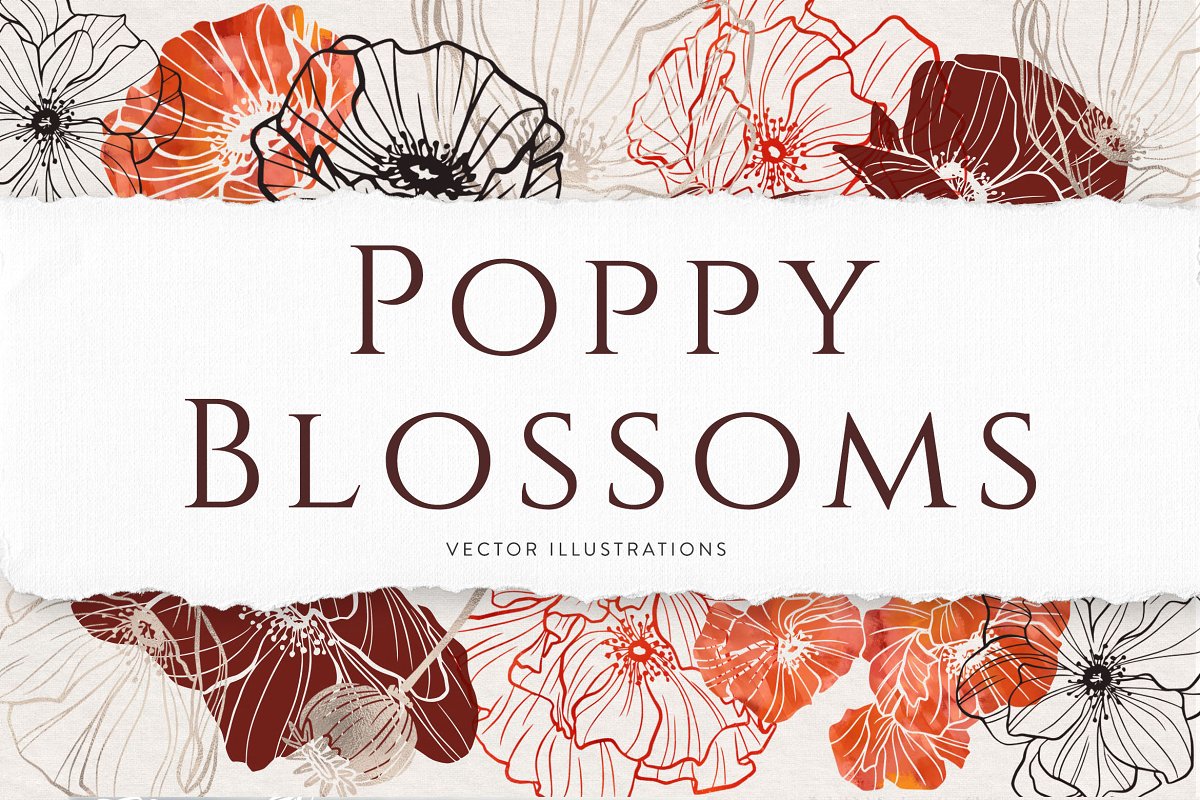 精美优雅艺术装饰花卉图案插画PNG透明图片设计素材 Poppy Blossoms Vector Illustrations_img_2