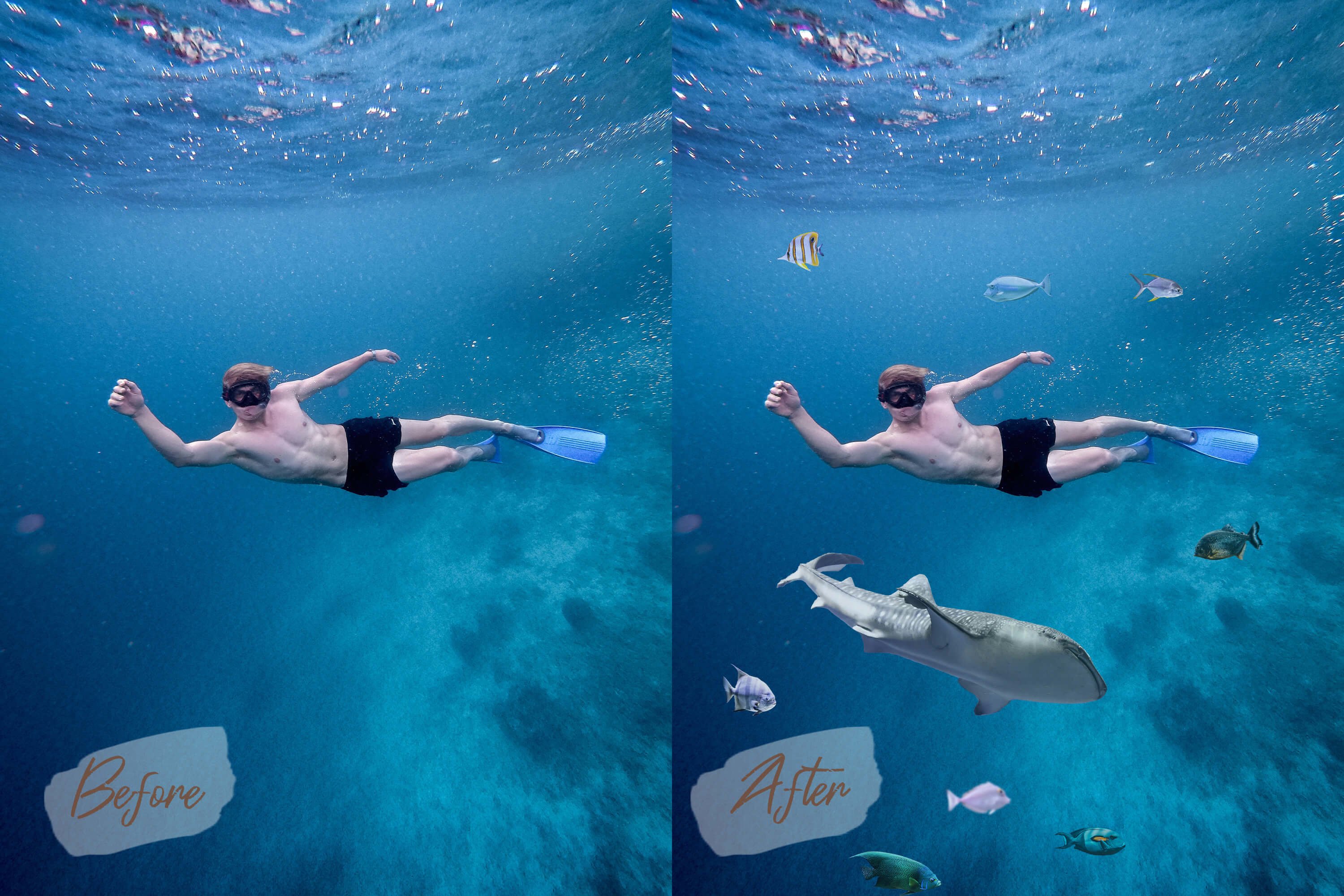 40款高清海洋鱼PS叠加图片素材 40 Sea Fish Overlays_img_2