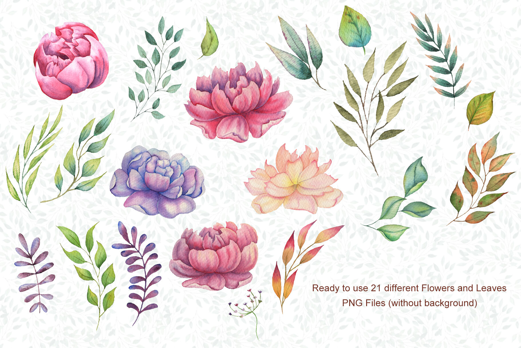 高清手绘花卉和动物水彩画图片集 Watercolor Flowers and Animals Set_img_2