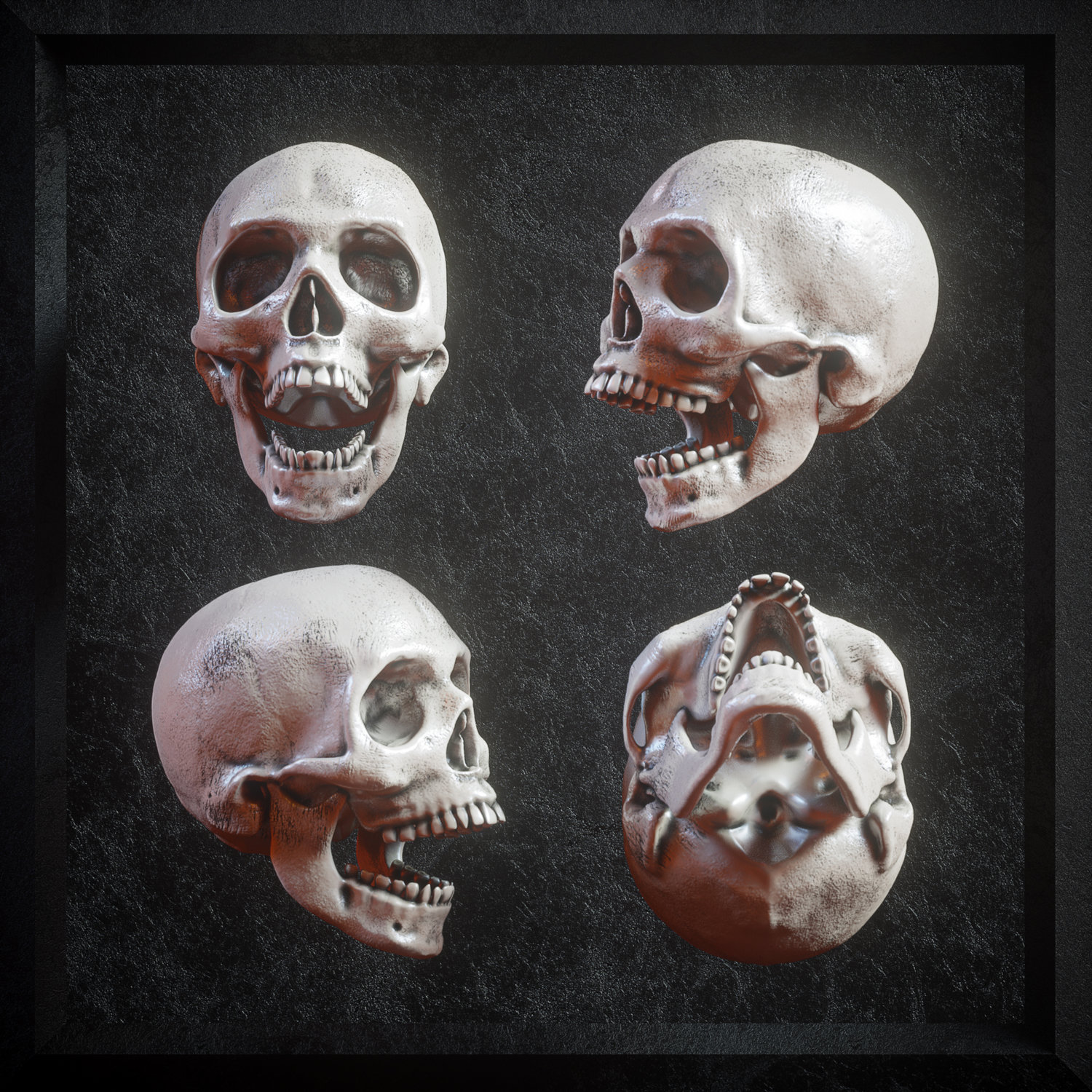 逼真3D人类头盖骨模型PNG免抠图片素材 Billelis 3D Skull Model Pack VOL1_img_2