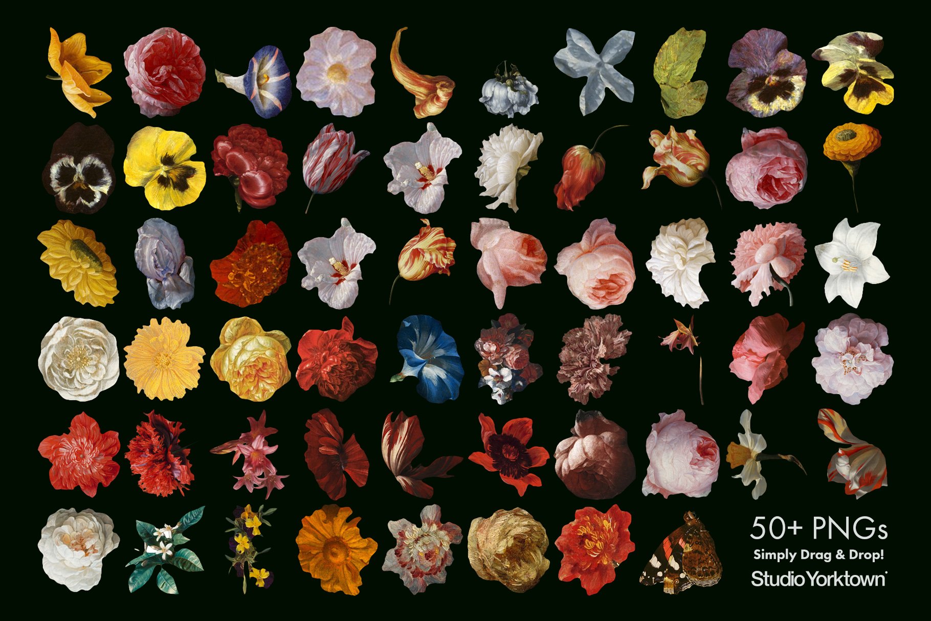50多种高清复古花卉平面设计PNG透明免抠图片集合 Kurohana - Moody Florals Collection_img_2