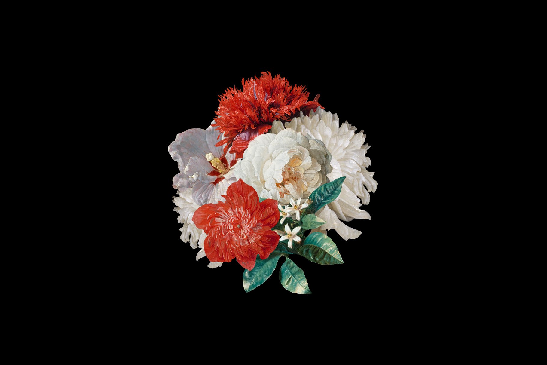 50多种高清复古花卉平面设计PNG透明免抠图片集合 Kurohana - Moody Florals Collection_img_2