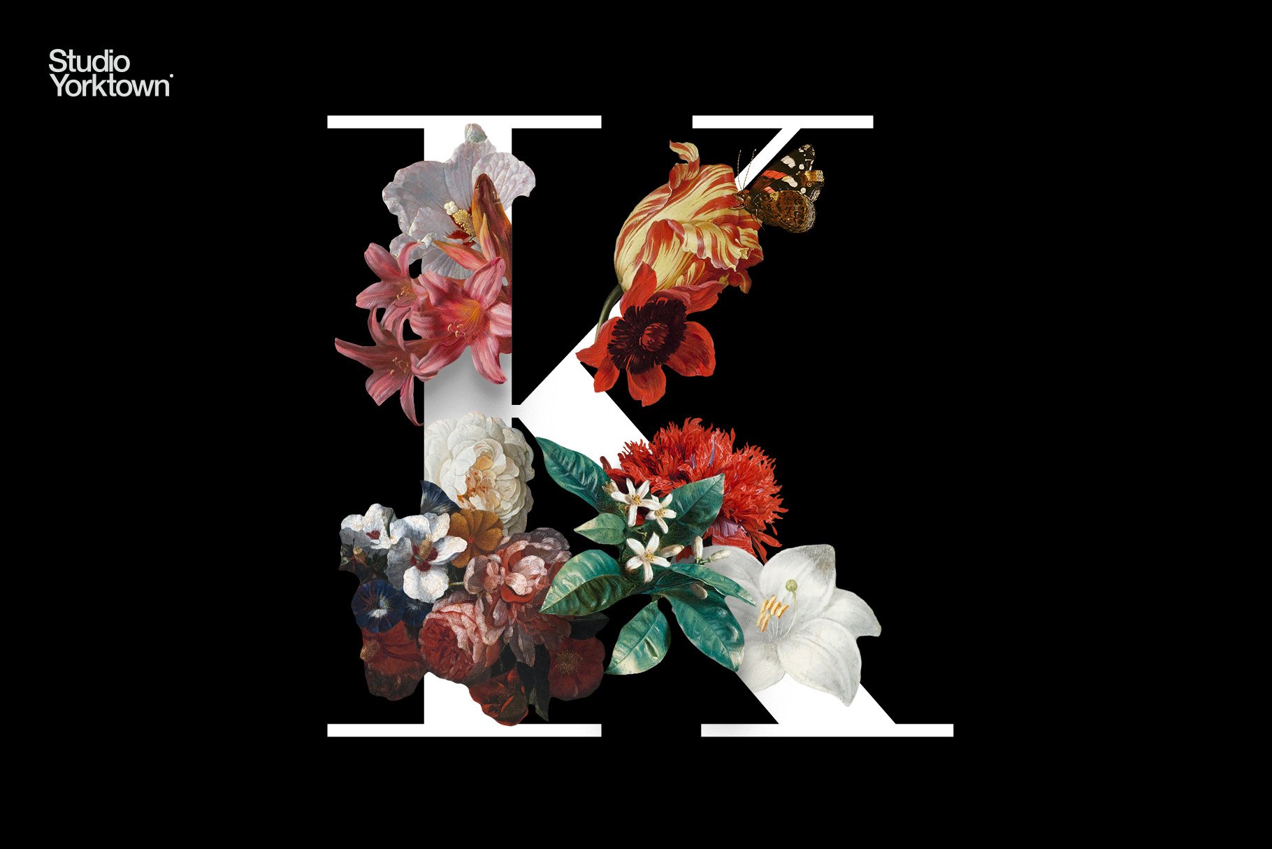 50多种高清复古花卉平面设计PNG透明免抠图片集合 Kurohana - Moody Florals Collection_img_2
