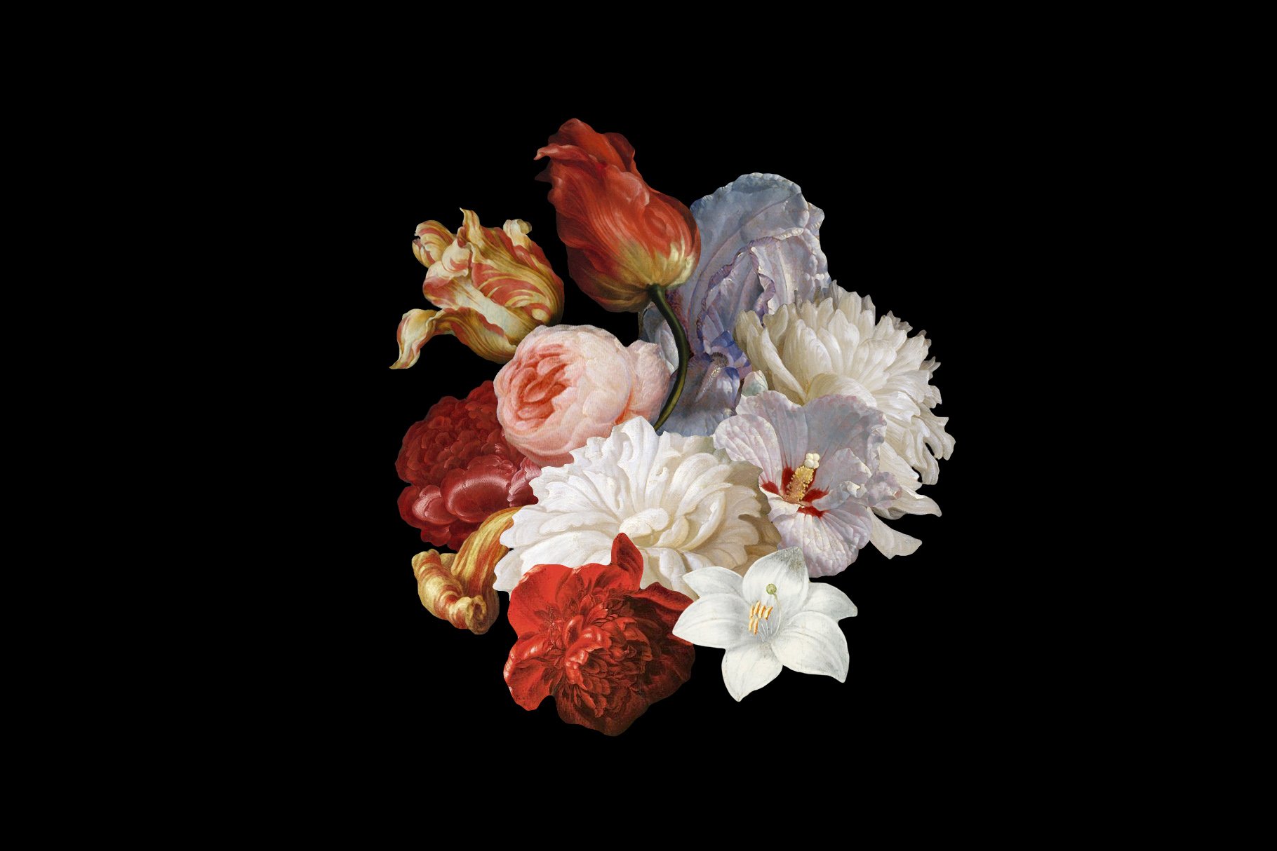 50多种高清复古花卉平面设计PNG透明免抠图片集合 Kurohana - Moody Florals Collection_img_2