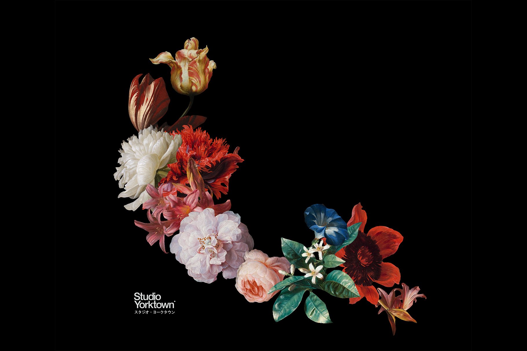 50多种高清复古花卉平面设计PNG透明免抠图片集合 Kurohana - Moody Florals Collection_img_2