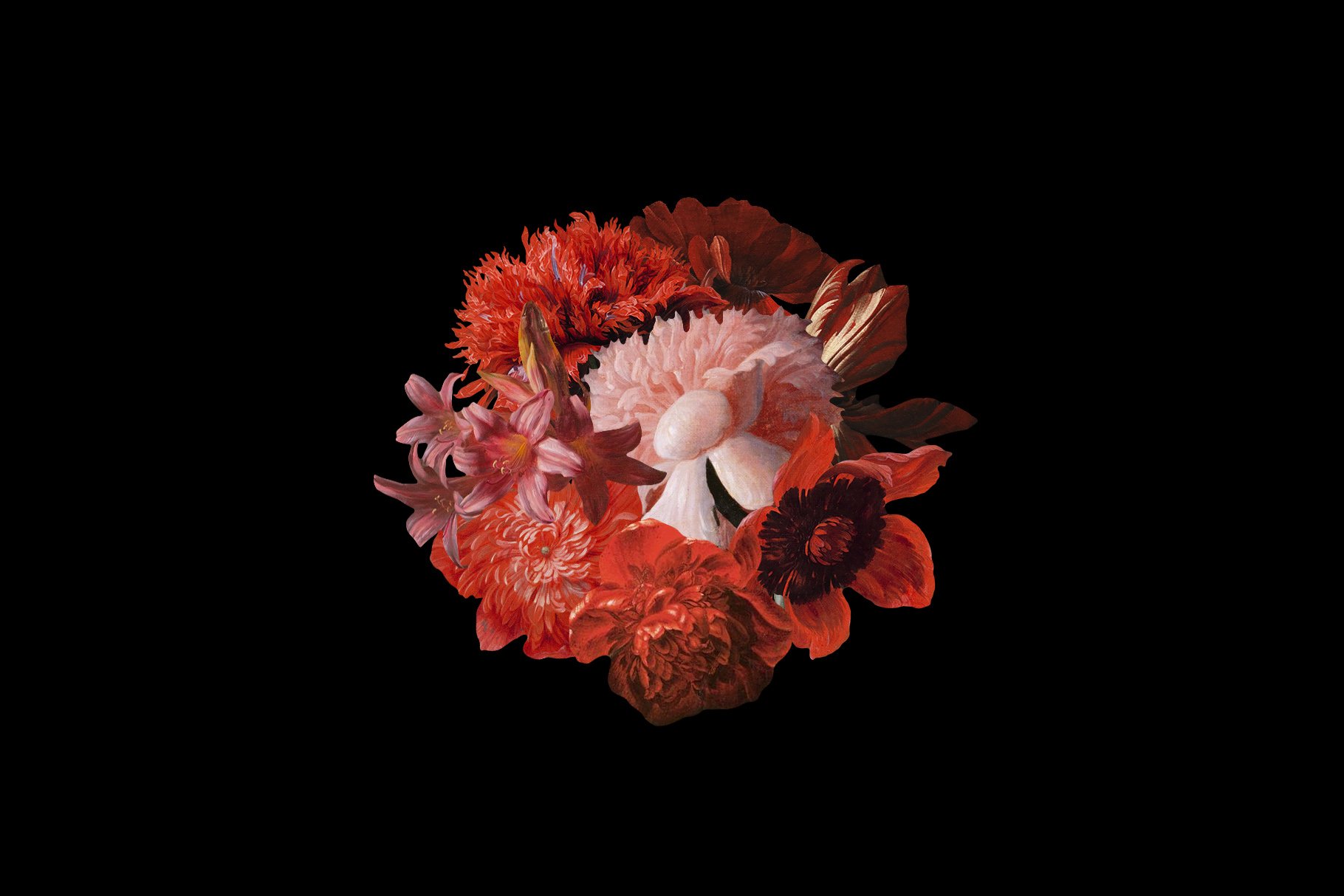 50多种高清复古花卉平面设计PNG透明免抠图片集合 Kurohana - Moody Florals Collection_img_2