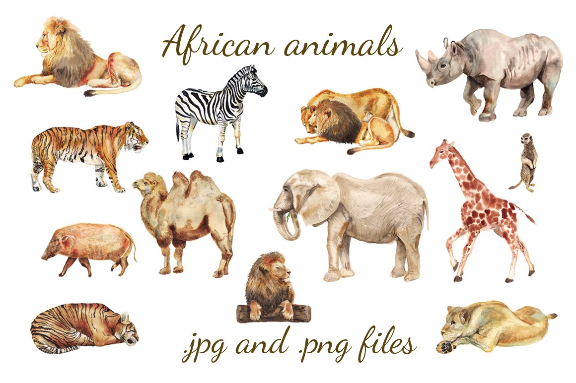 高清手绘非洲野生动物水彩画图片素材 Watercolor African Animals_img_2