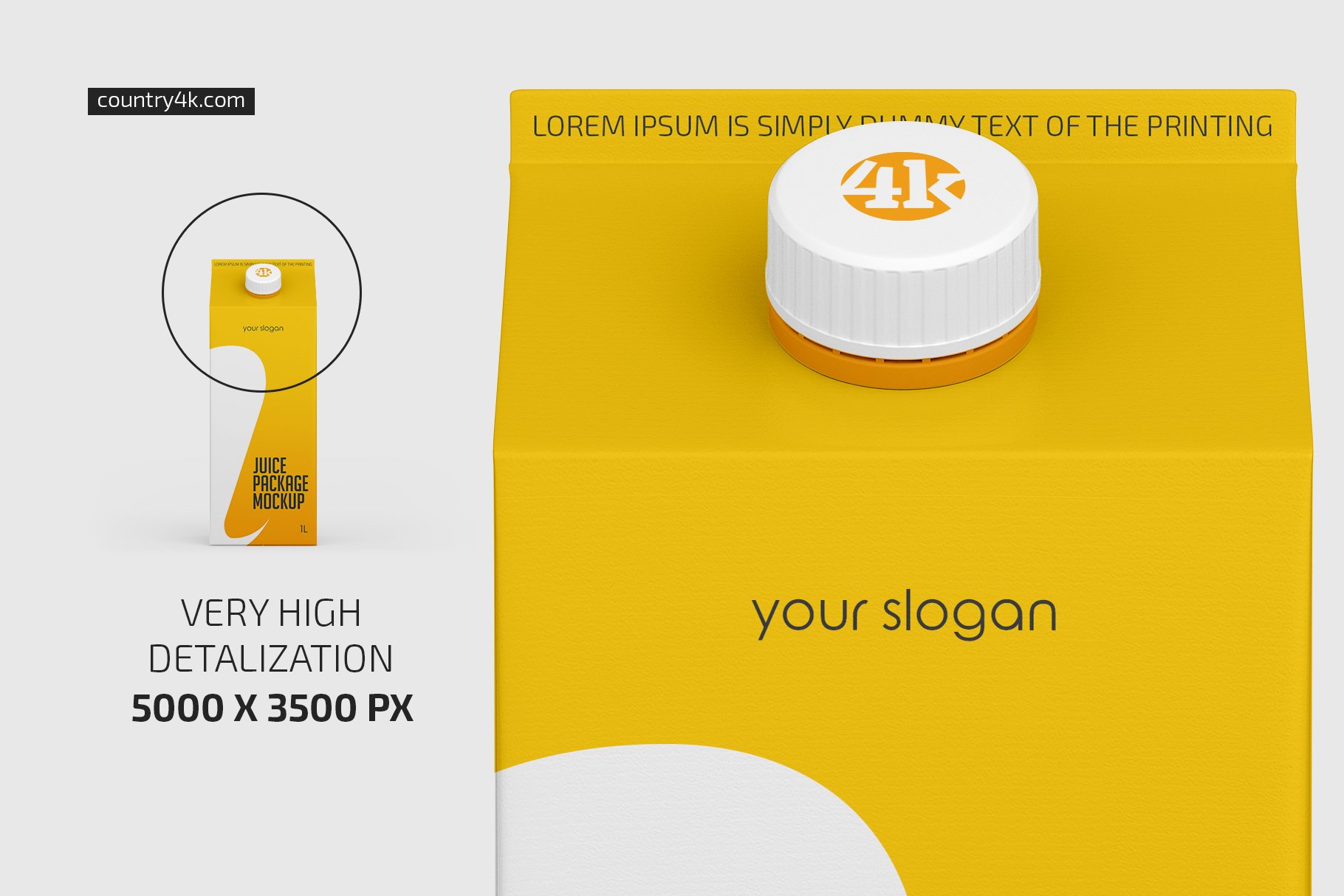1L果汁饮料纸盒包装样机套装 1L Juice Carton Package Mockup Set_img_2
