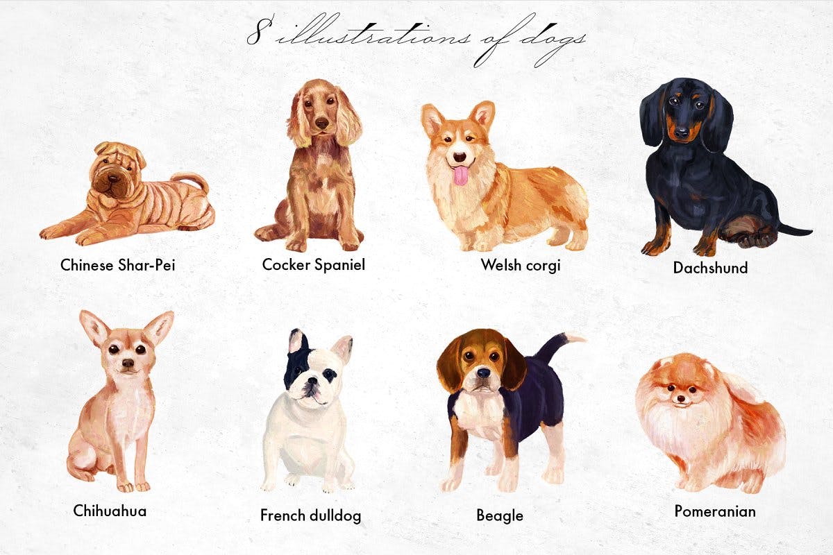 高清手绘狗狗元素水彩画PNG免抠图片素材 Dog Breeds Illustrations_img_2