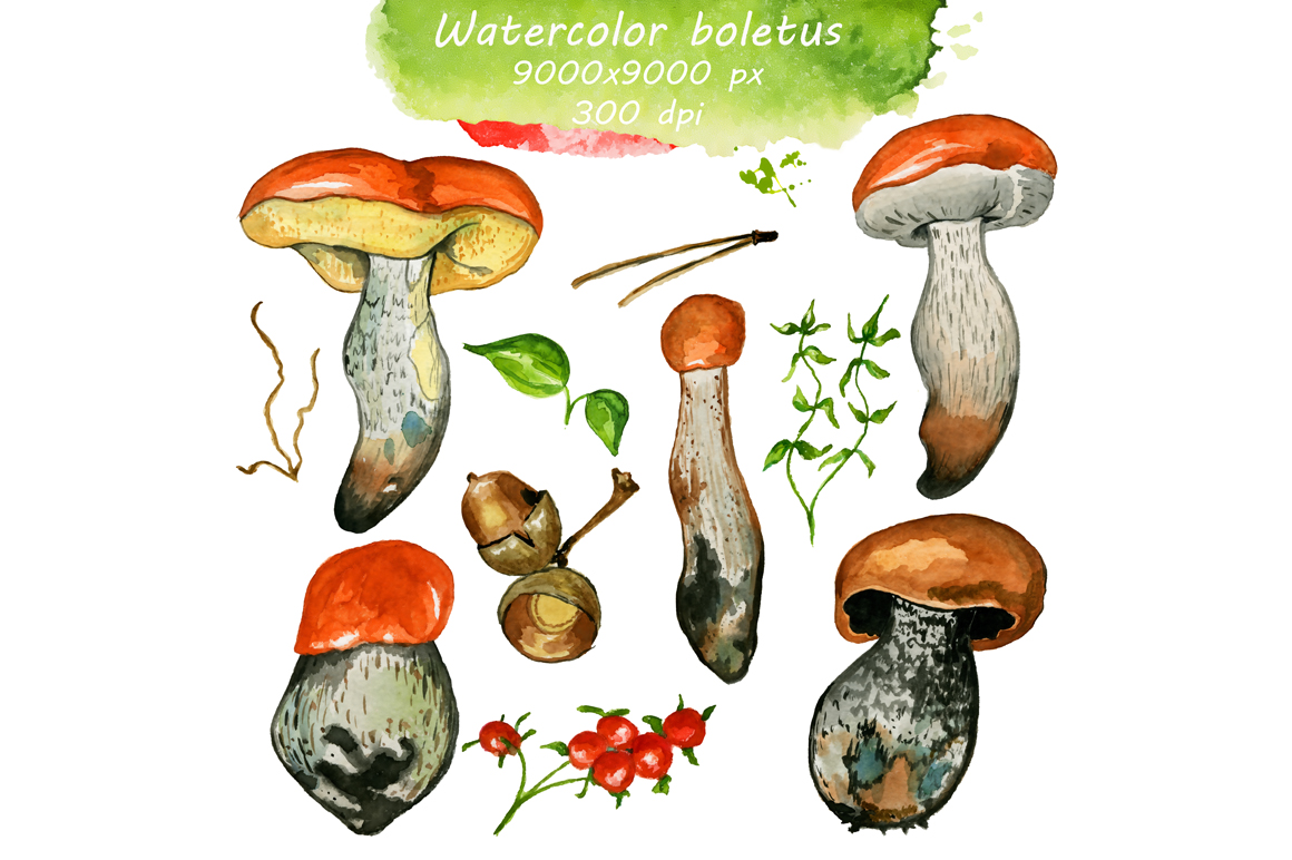 质朴手绘花朵蘑菇水彩画PNG免抠图片素材 Watercolor Rustic Set with Mushrooms_img_2