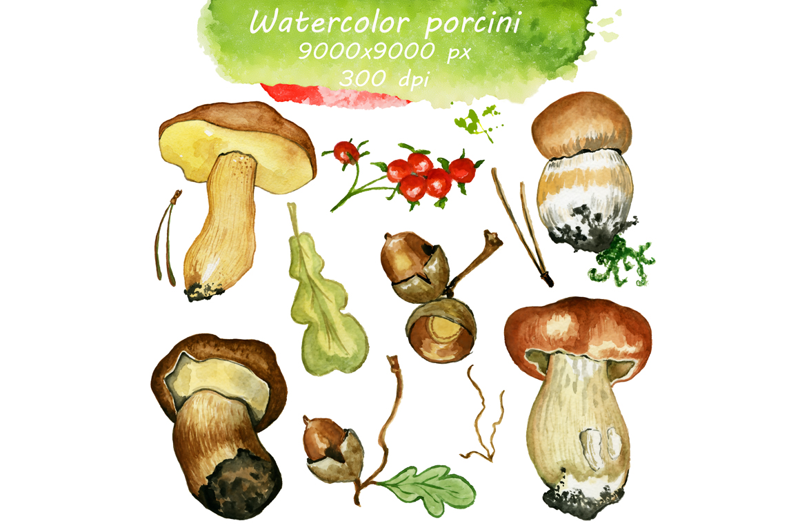 质朴手绘花朵蘑菇水彩画PNG免抠图片素材 Watercolor Rustic Set with Mushrooms_img_2