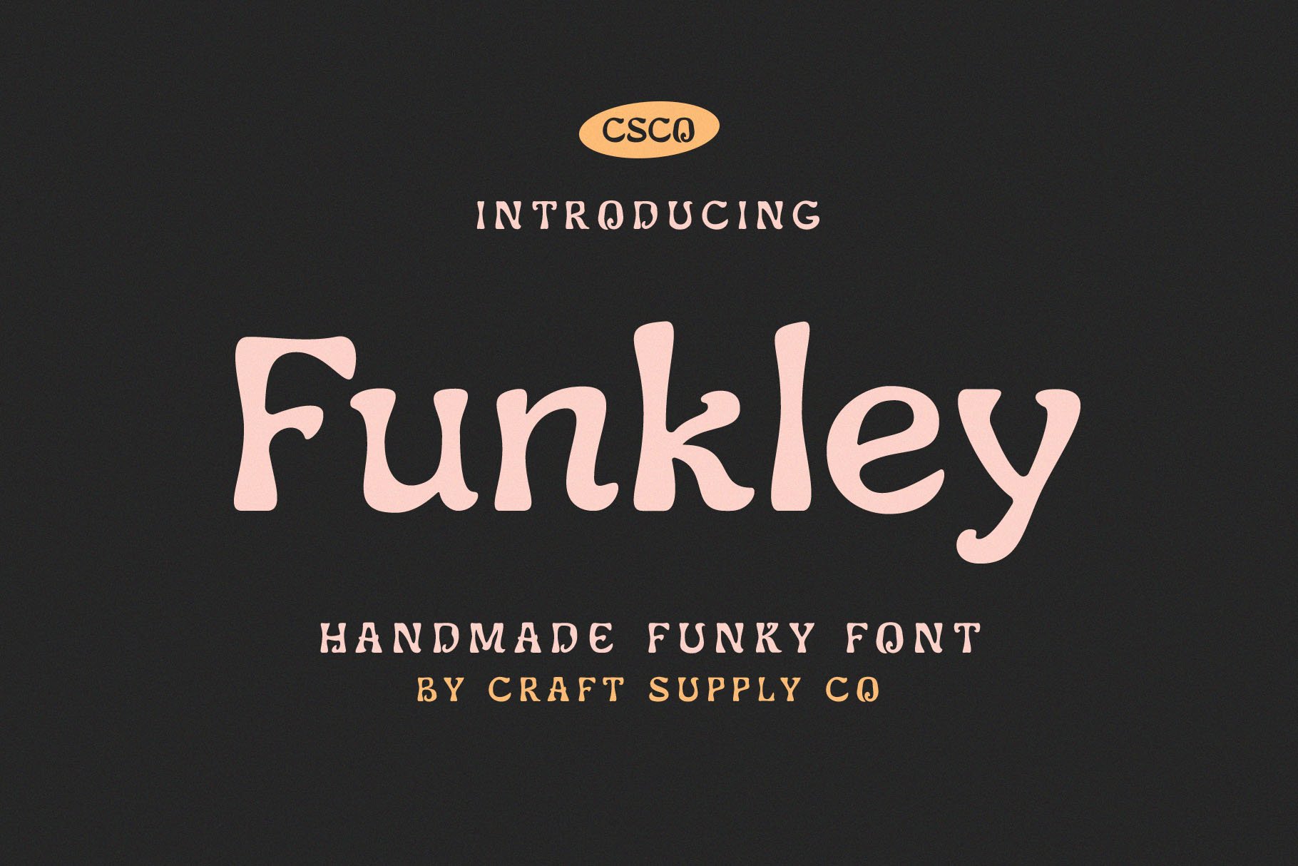 时尚标题设计手写衬线英文字体下载 Funkley - Handmade Funky Font_img_2