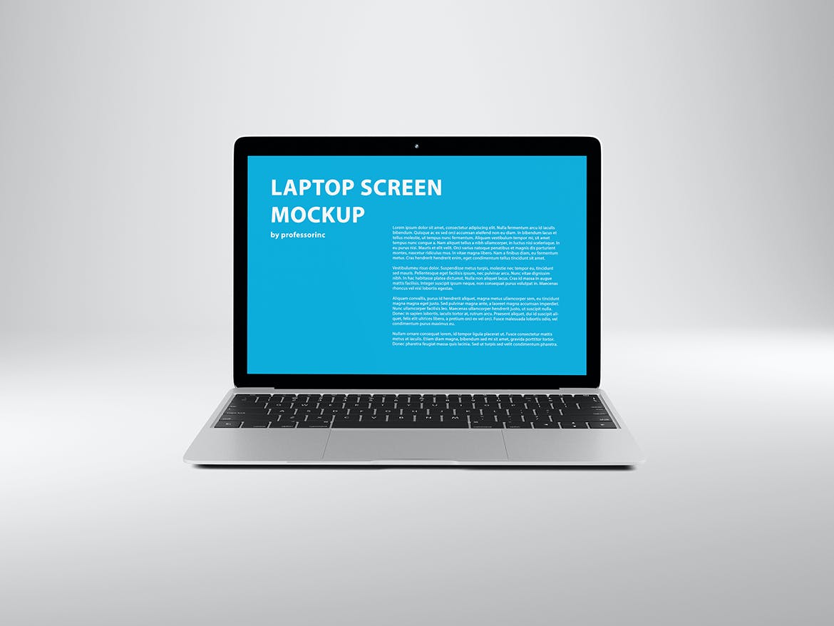 网页WEB设计笔记本电脑屏幕演示样机 14x9 Screen Mockup - Silver_img_2