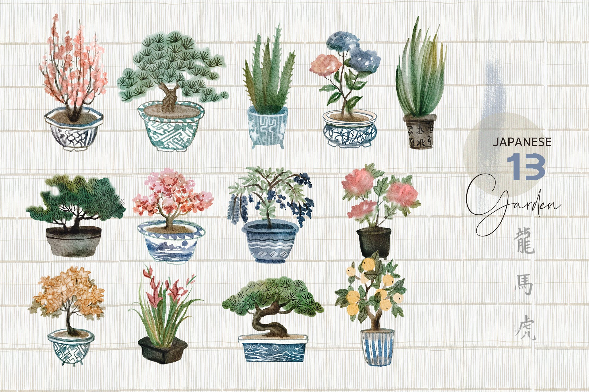 13个室内植物花卉盆栽水彩画PNG图片素材 Watercolor japanese plants - illustrations set_img_2