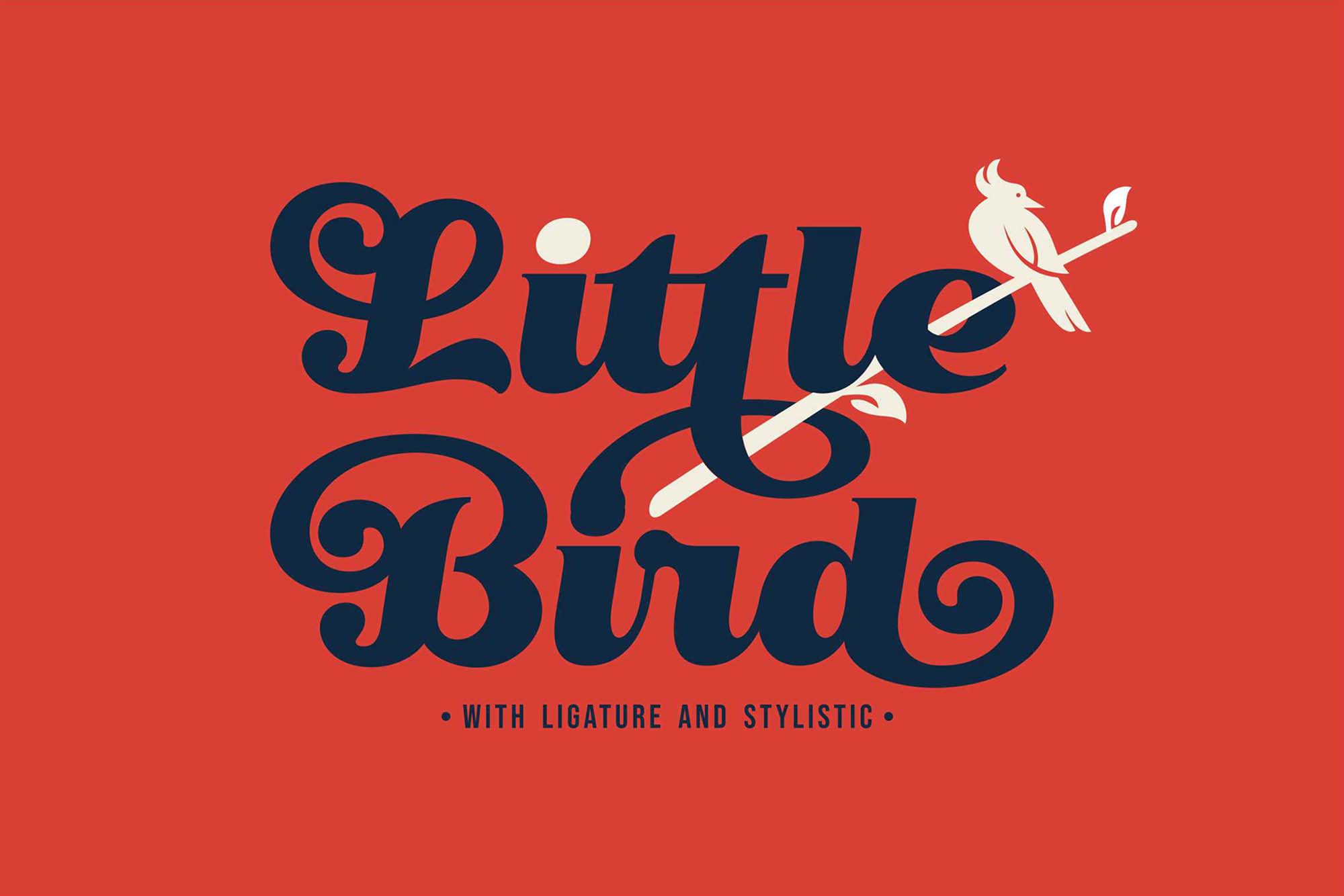 艺术曲线复古风格手写英字下载 Little Bird Script Font_img_2