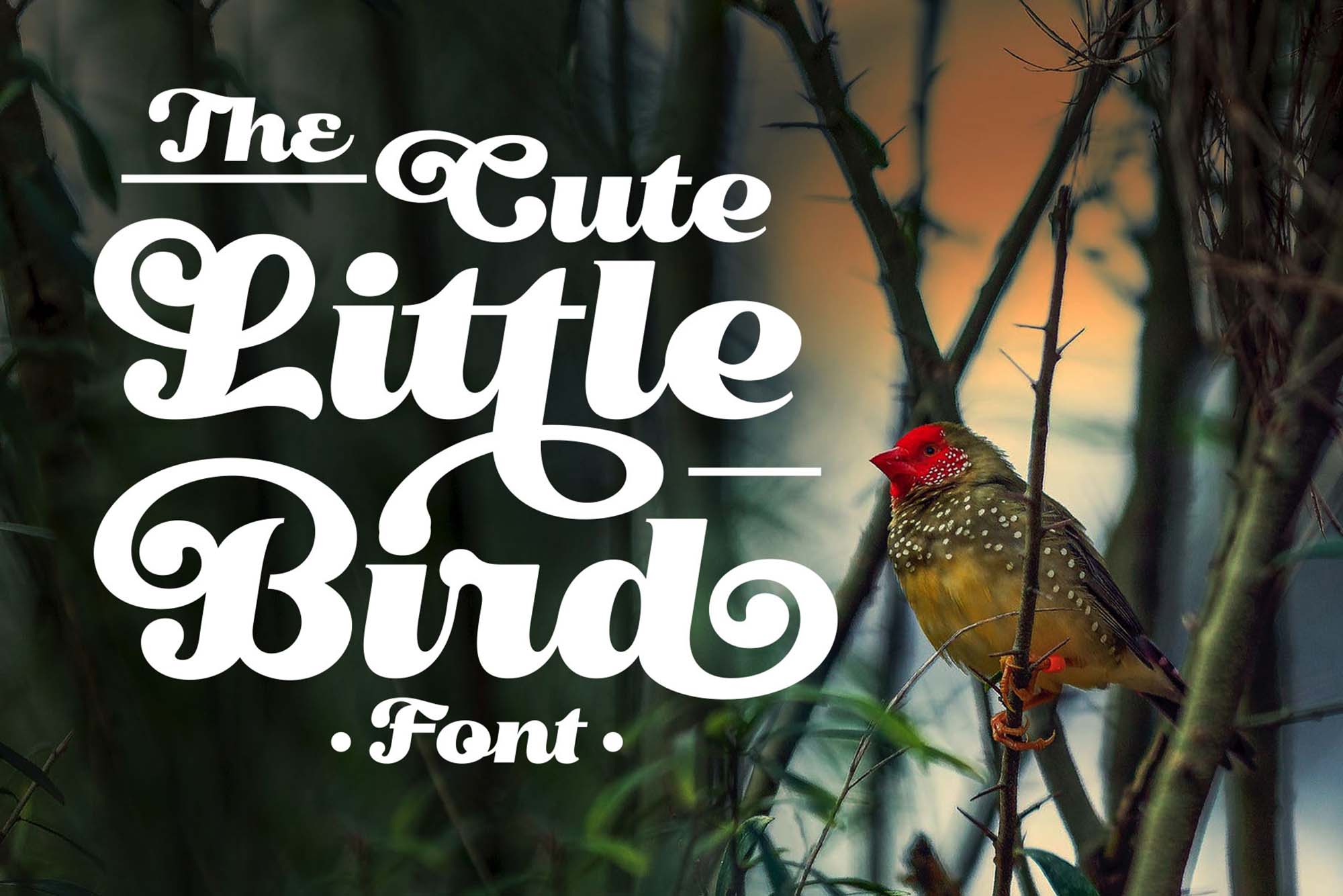 艺术曲线复古风格手写英字下载 Little Bird Script Font_img_2