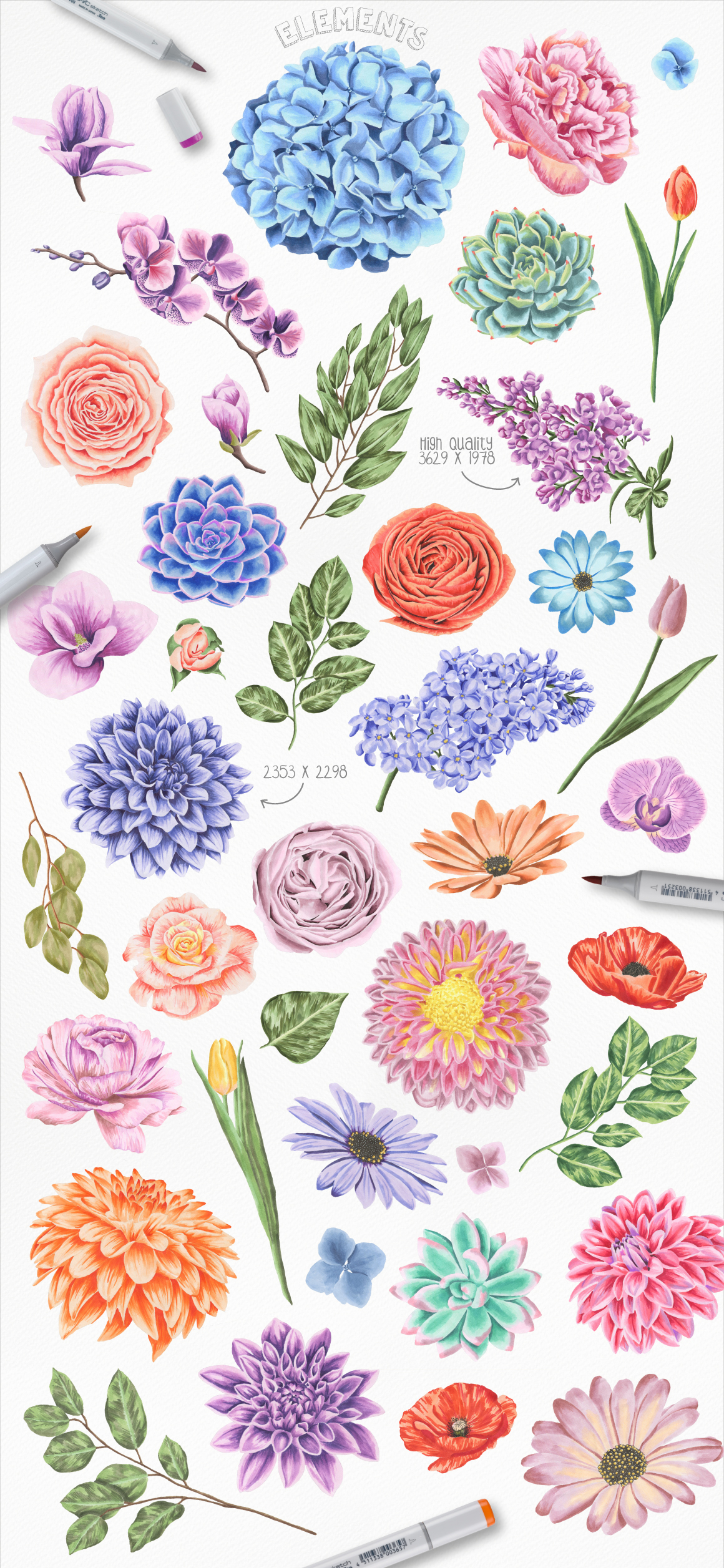54款高清手绘玫瑰牡丹兰花花卉花圈水彩剪贴画素材 Flower Power Marker Collection_img_2