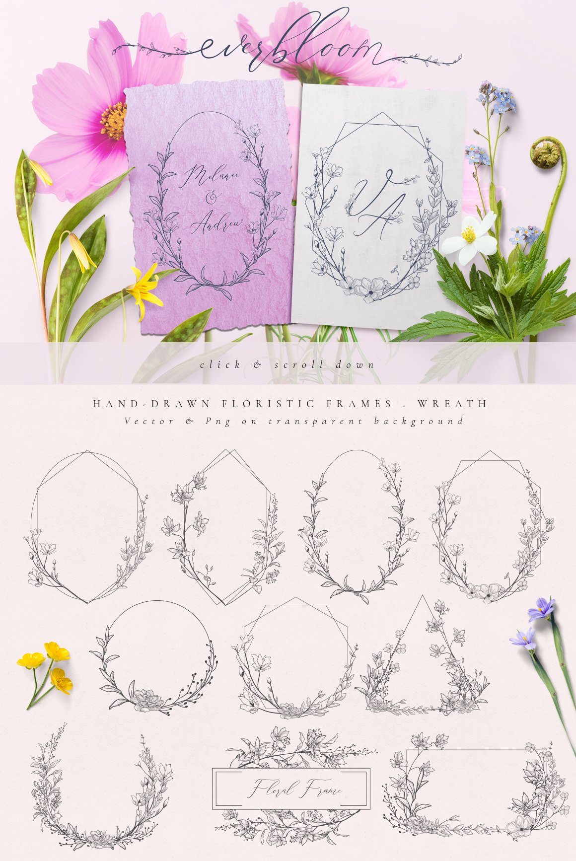 精美手绘花框花环徽标矢量图案素材 Flowered Monogram & Logo Collection_img_2