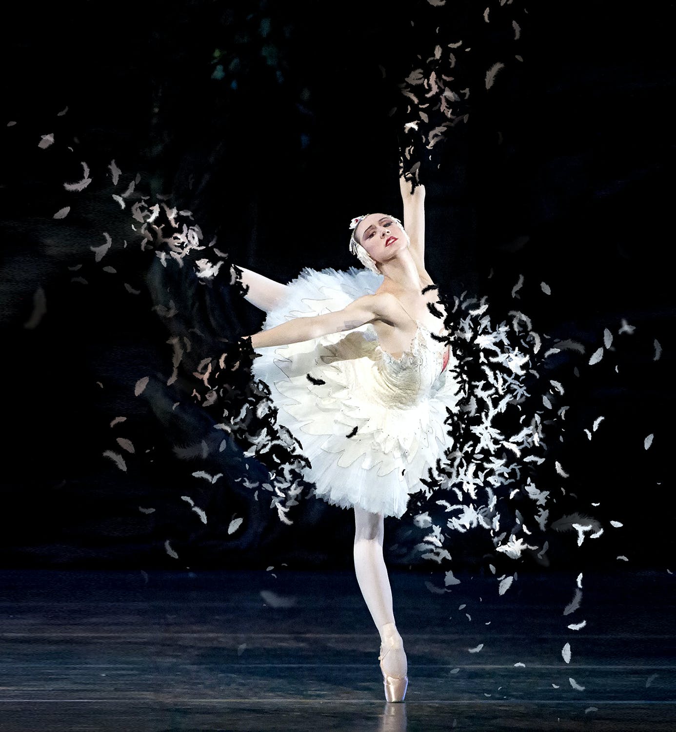 散布羽毛效果照片处理特效PS动作模板 Feathers Photoshop Action_img_2