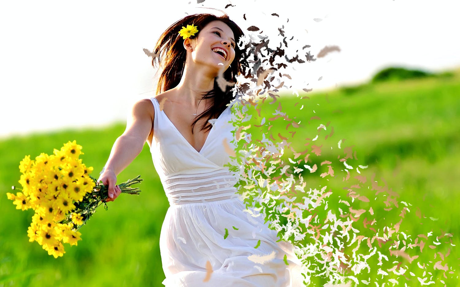 散布羽毛效果照片处理特效PS动作模板 Feathers Photoshop Action_img_2