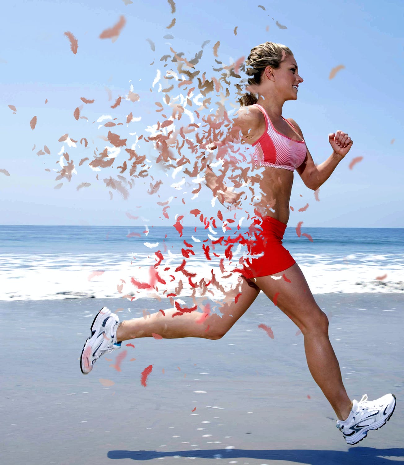 散布羽毛效果照片处理特效PS动作模板 Feathers Photoshop Action_img_2