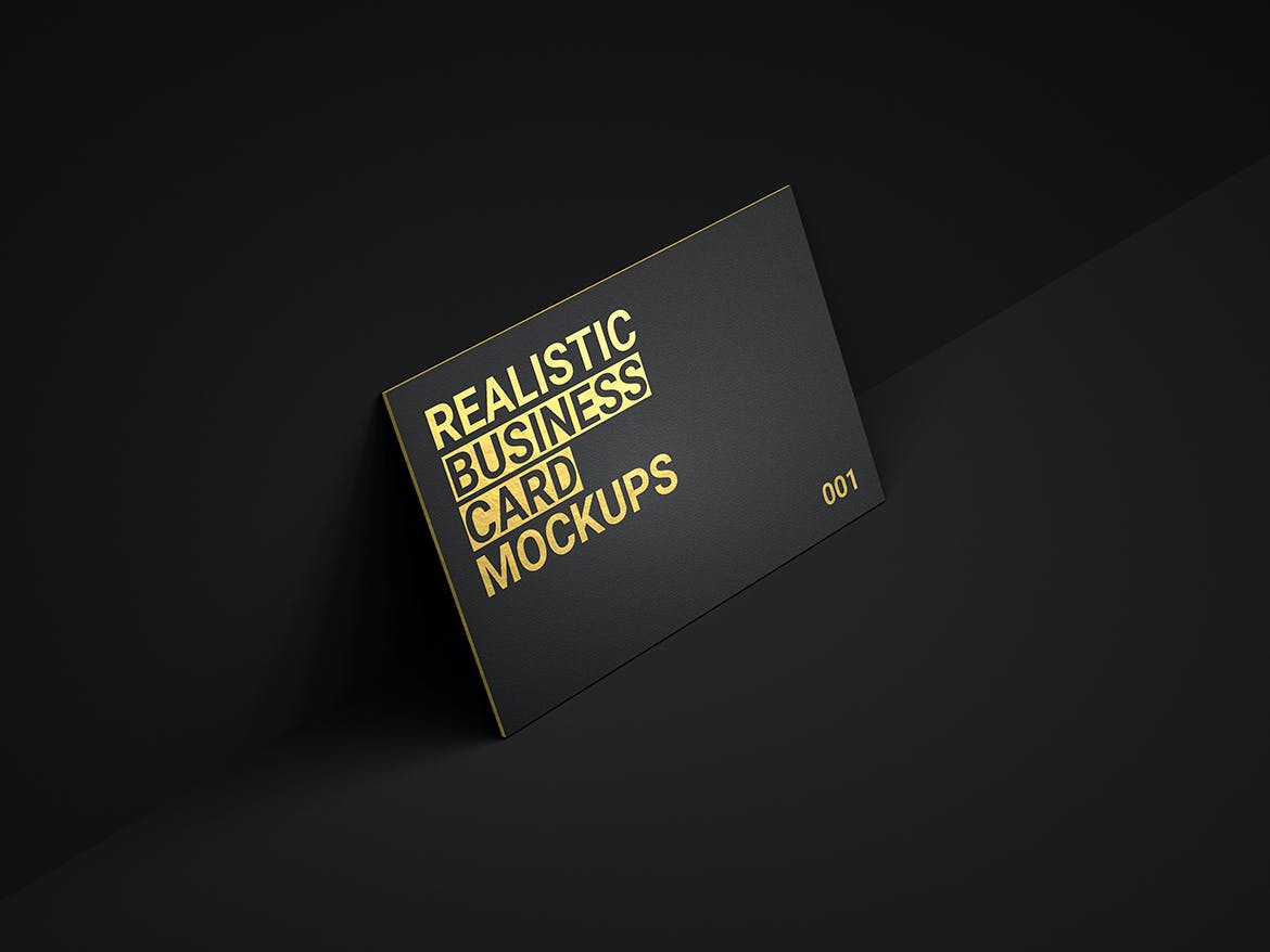 16个逼真商务名片卡片设计展示样机模板 Realistic Business Card Mockups_img_2