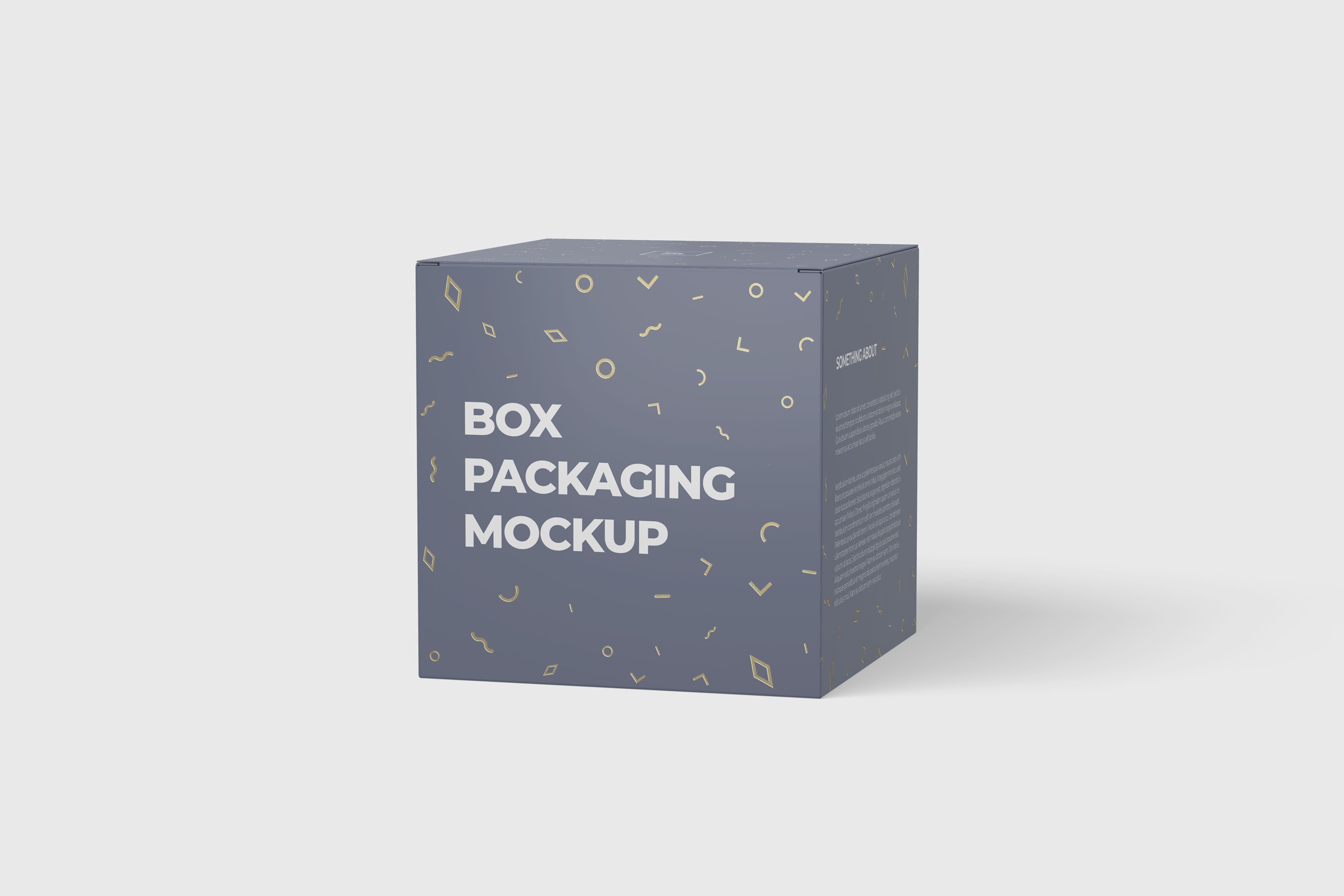 5款方形产品包装纸盒设计展示样机 Box Packaging Mockup_img_2