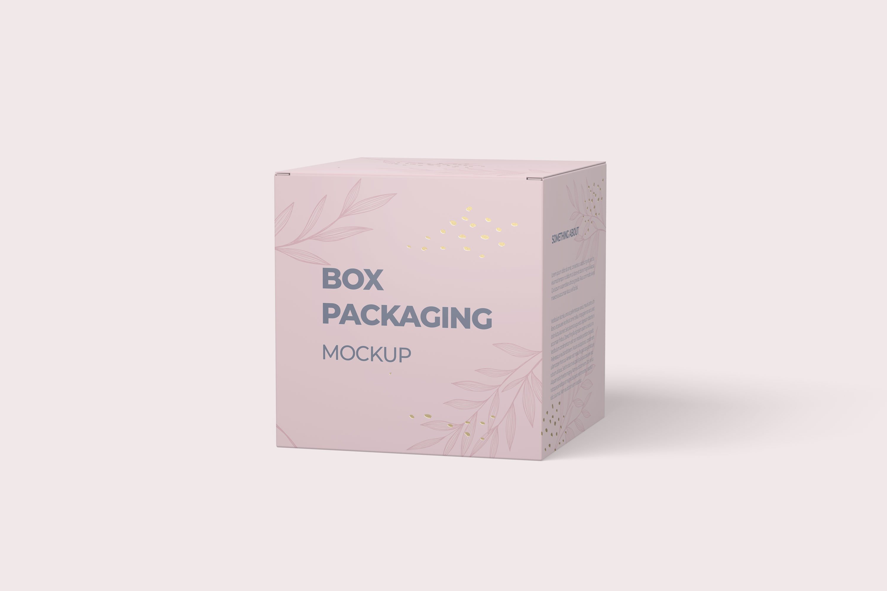 5款方形产品包装纸盒设计展示样机 Box Packaging Mockup_img_2