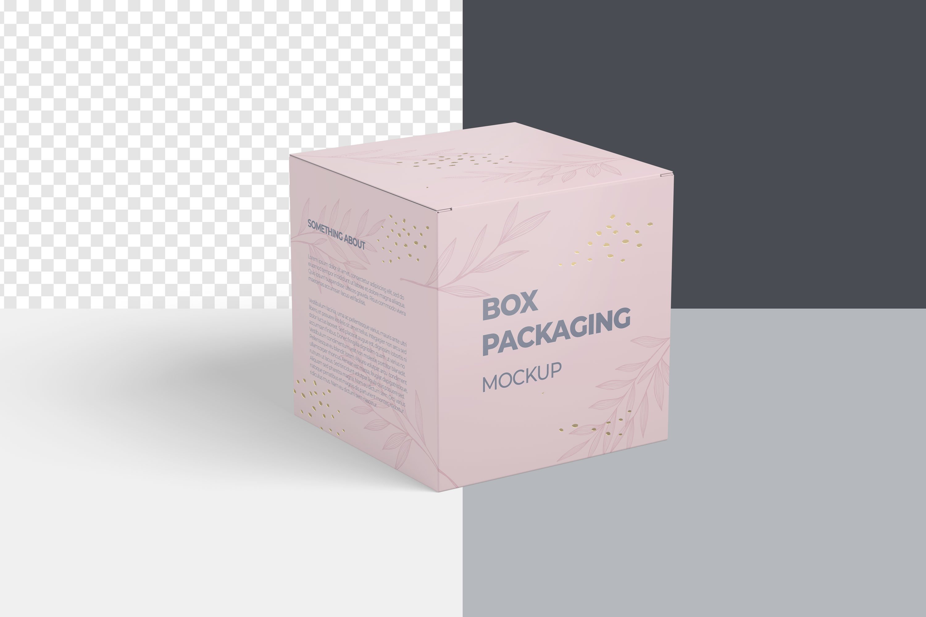 5款方形产品包装纸盒设计展示样机 Box Packaging Mockup_img_2