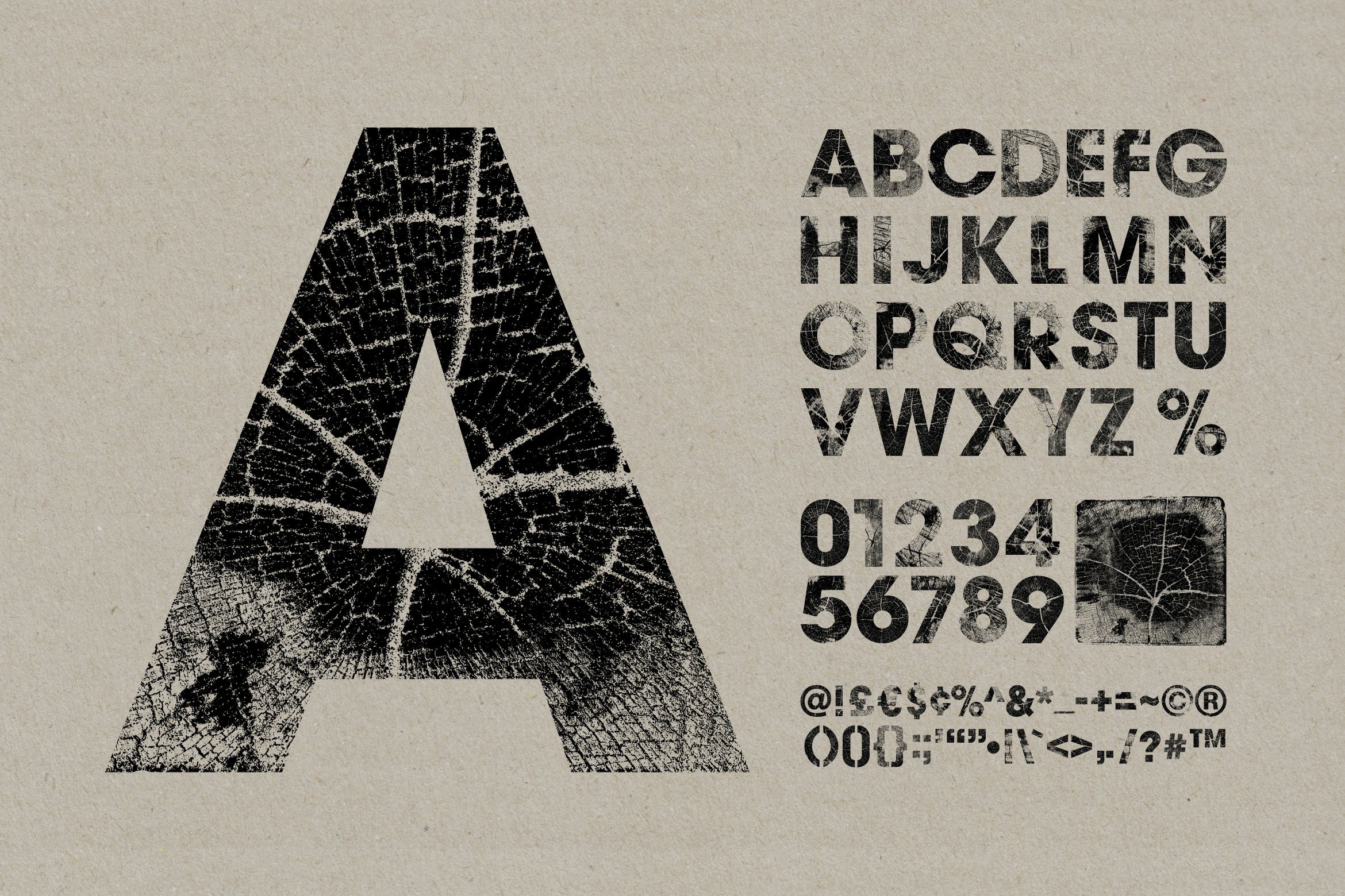 高清木纹字母符号背景纹理素材 Wood Grain Type_img_2