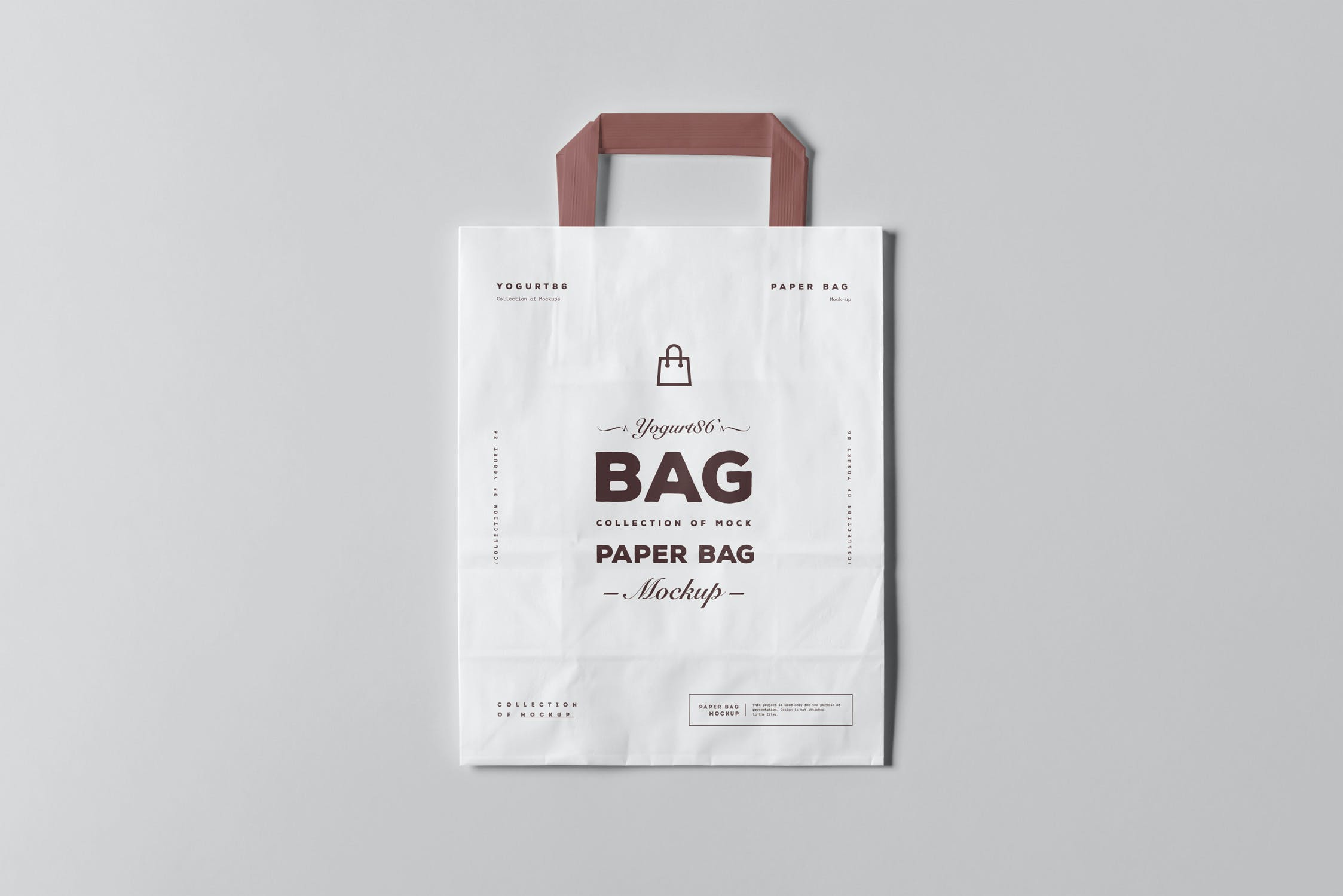 11款商城购物手提纸袋设计展示样机 Paper Bag Mockup 3_img_2