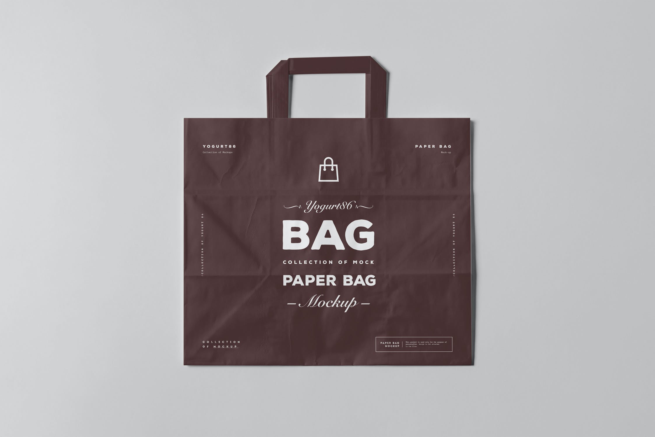 11款商城购物手提纸袋设计展示样机 Paper Bag Mockup 3_img_2